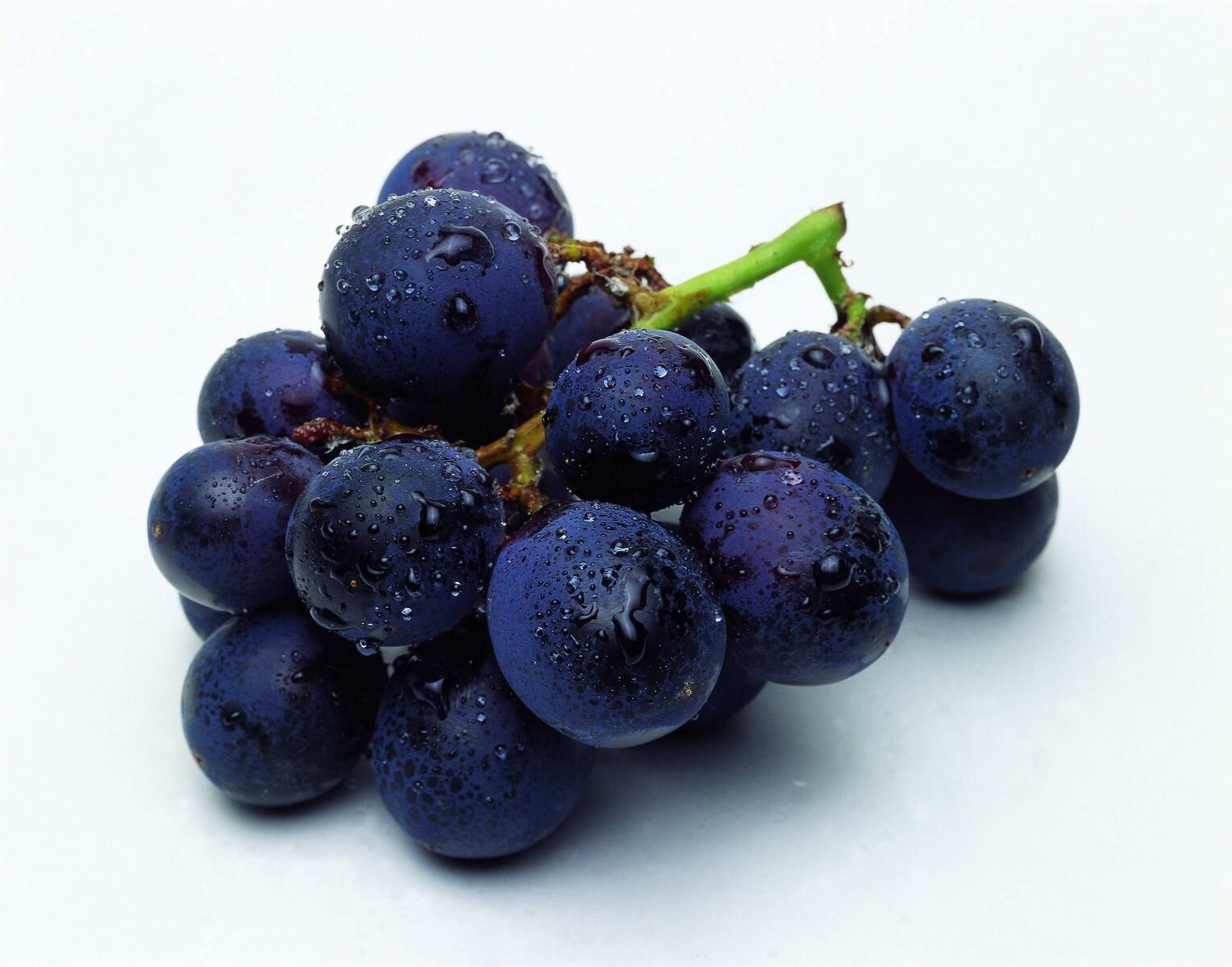 blue grape(1).jpg