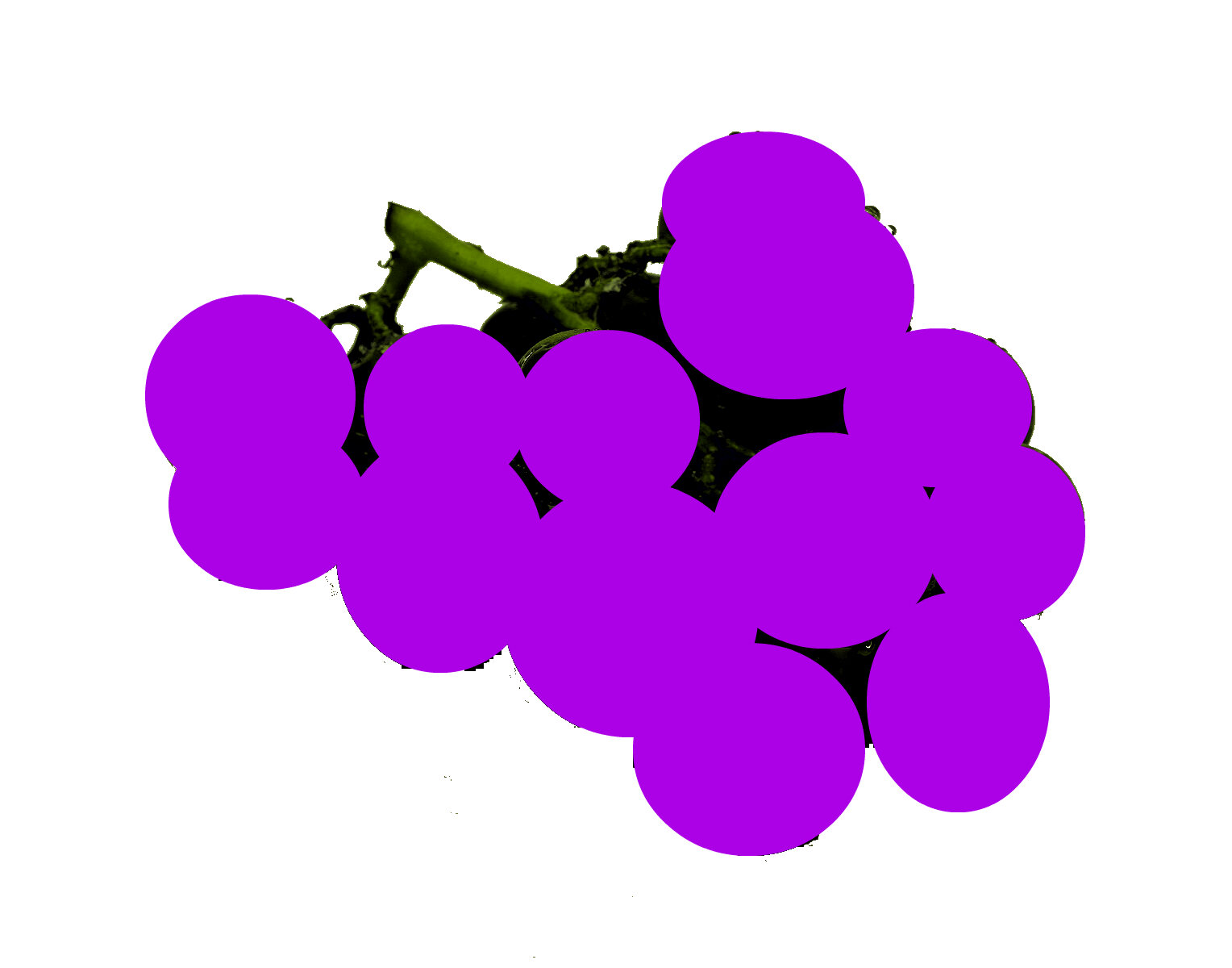 Grapes .jpg