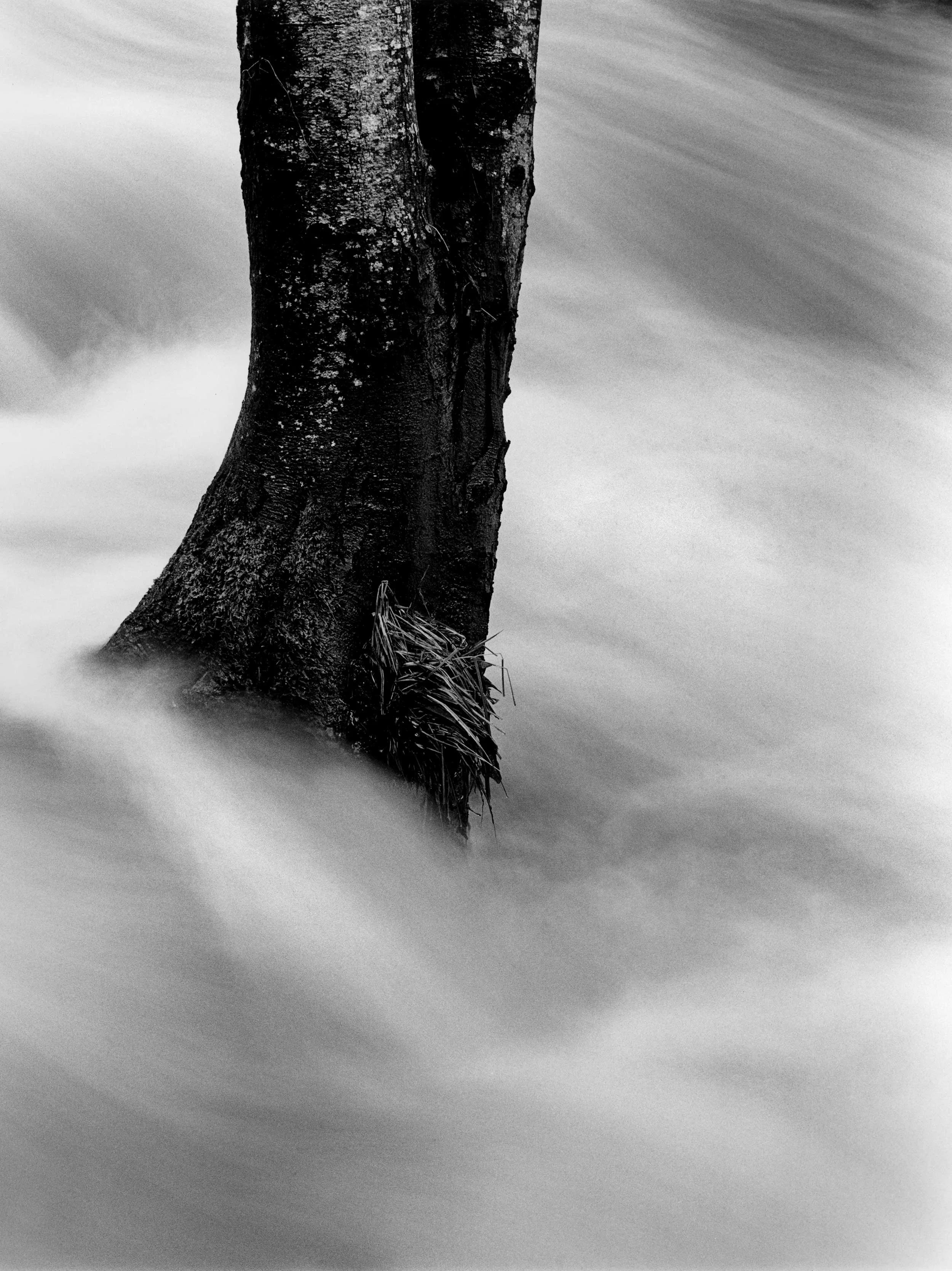Still, Garland Park