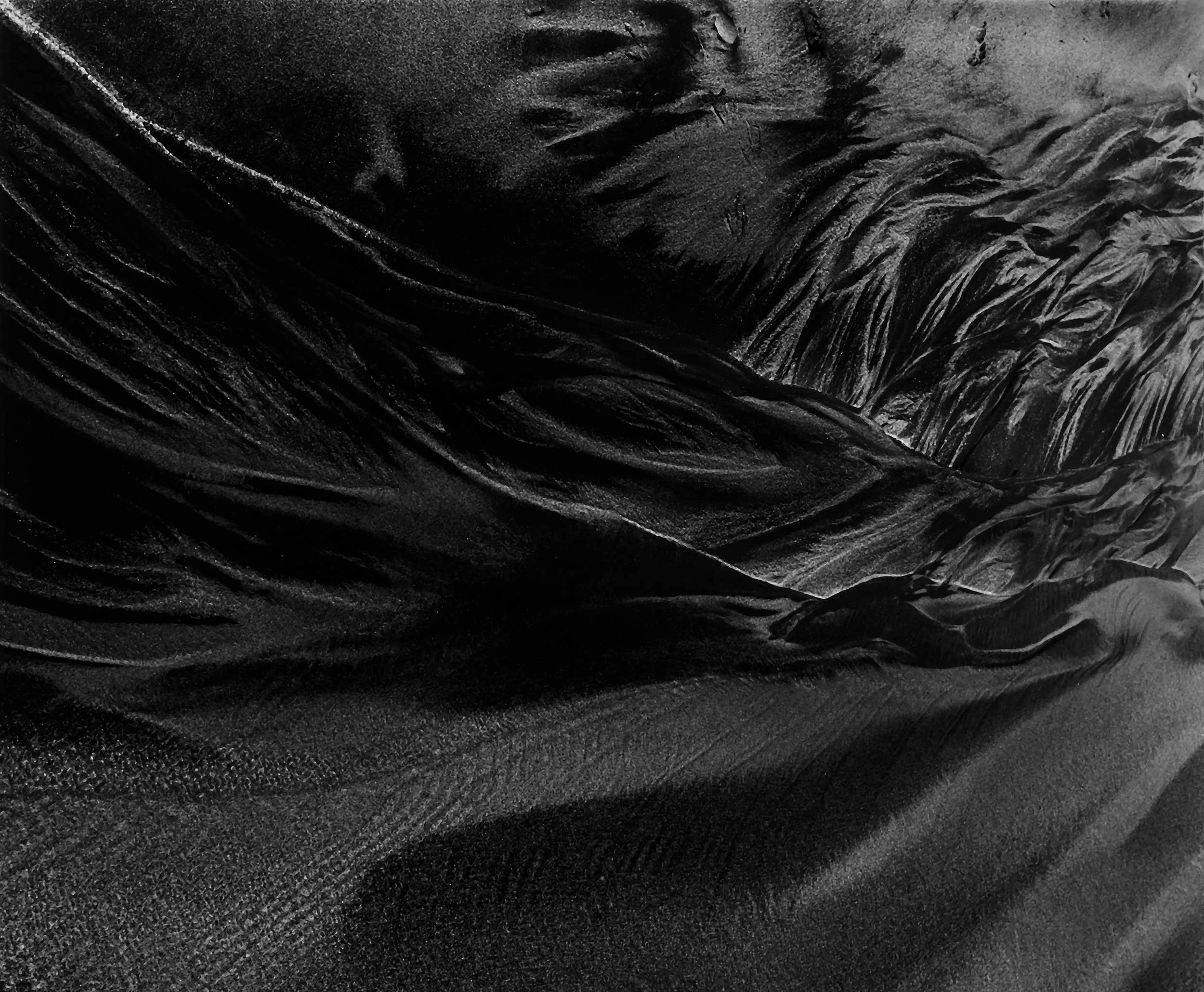 Doud Creek Sands ll, Garrapata