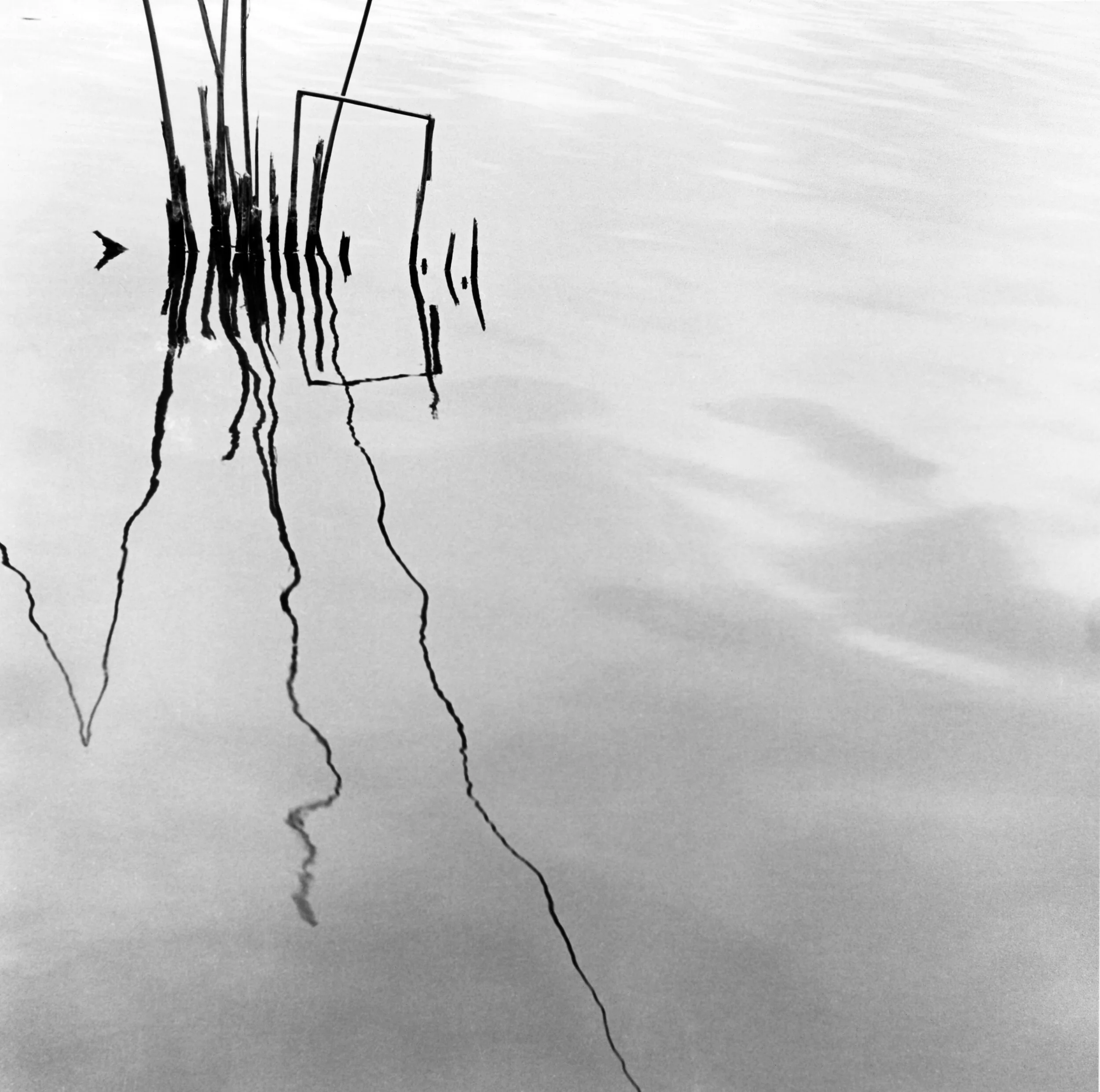 lines1.jpg