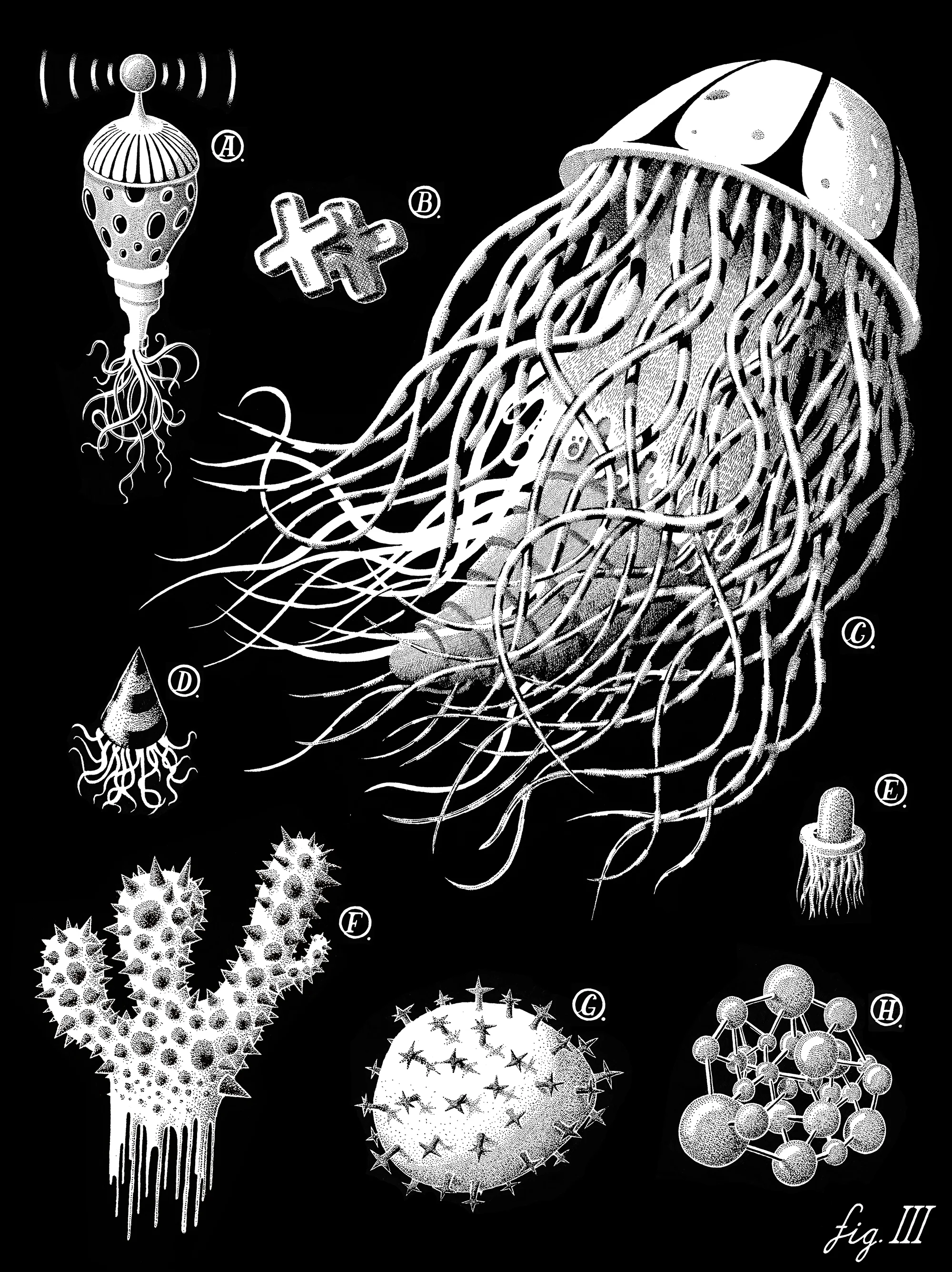 Fig 3