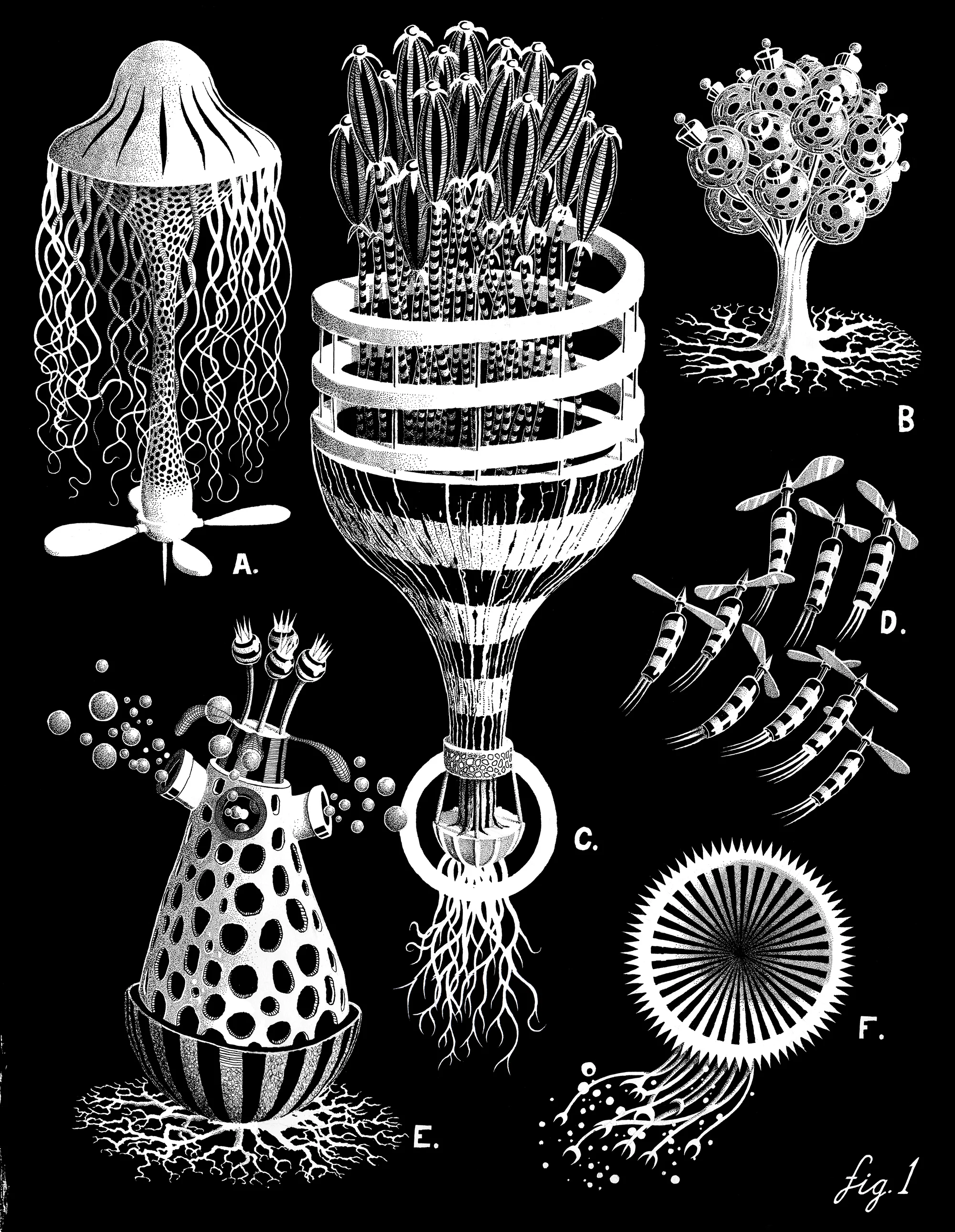 Fig 1.