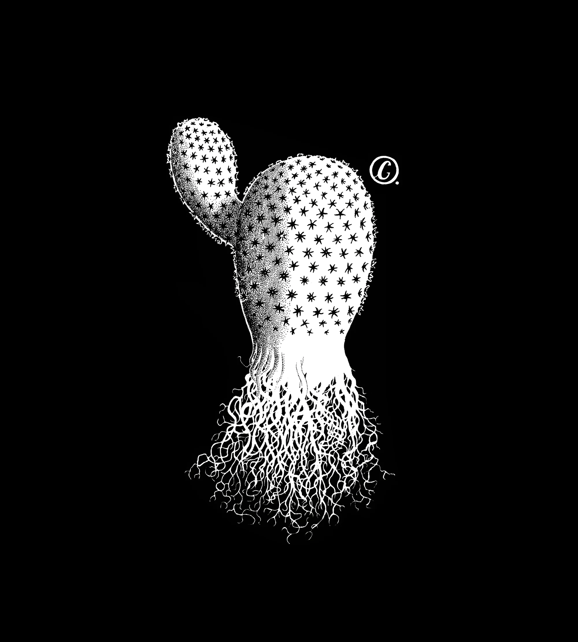 fig 2 detail2 2000.jpg