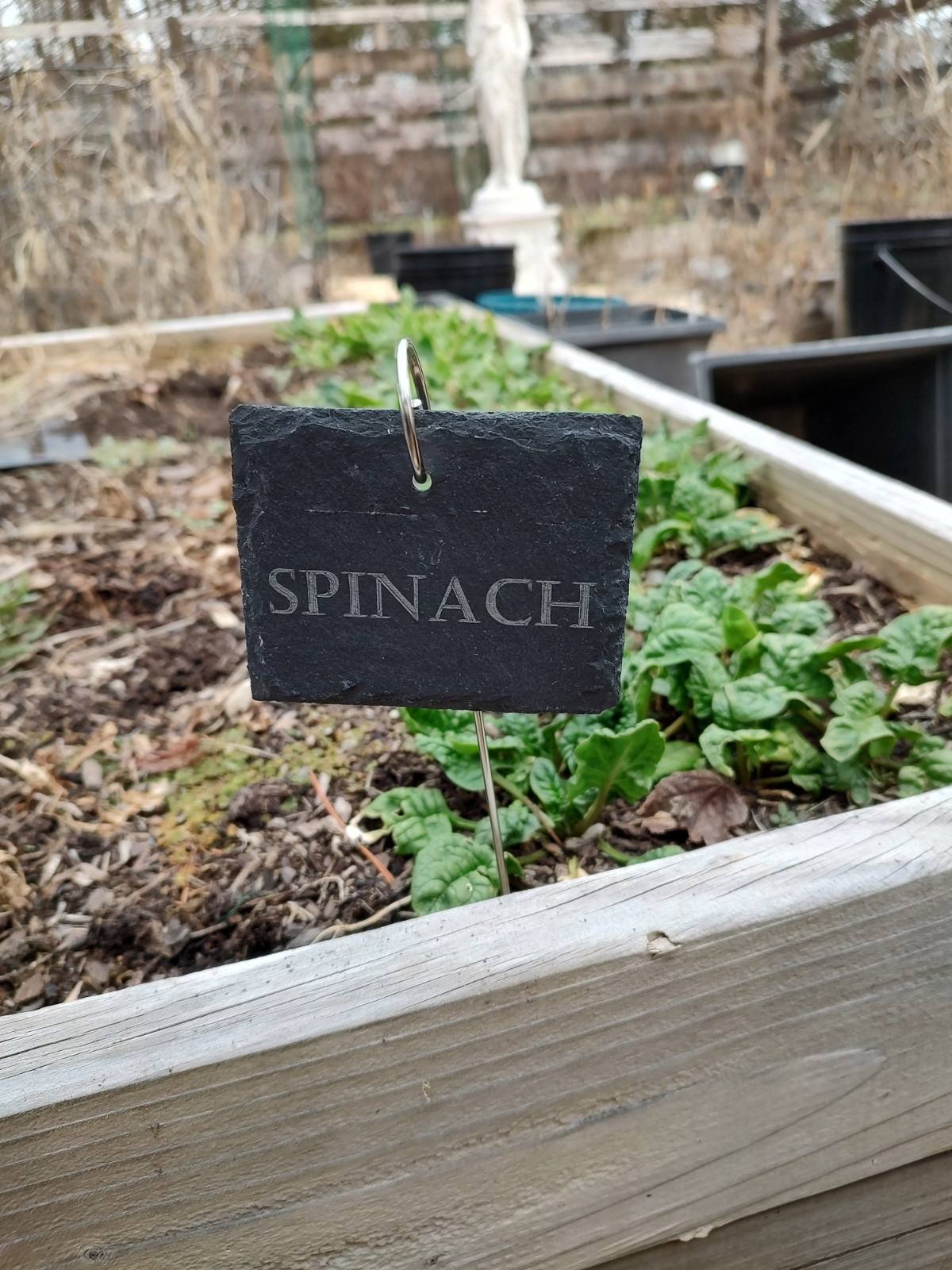 Engraved slate labels-2.jpg