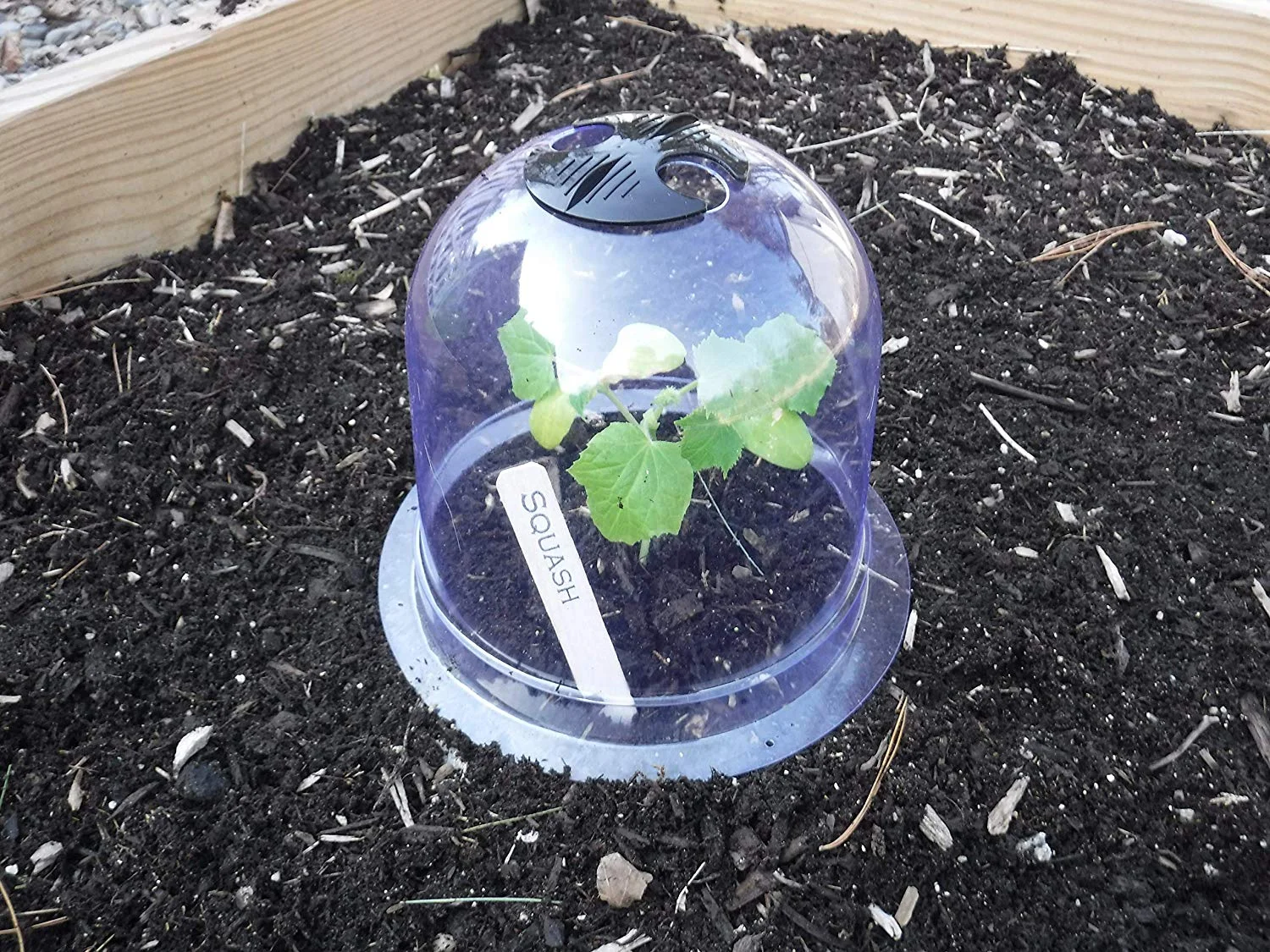 6-Pack! GrowAway Small Reusable Plastic Mini Greenhouse, Garden Cloche Dome,  Plant Covers  Gardinnovations