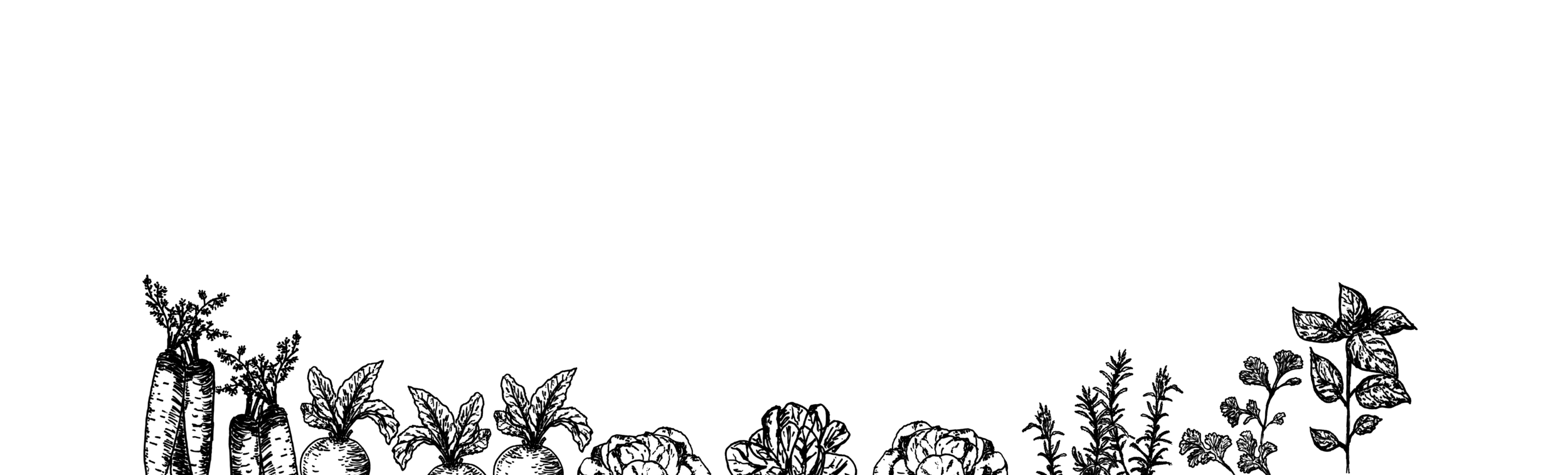 Website+GI+Shop+Banner8.png