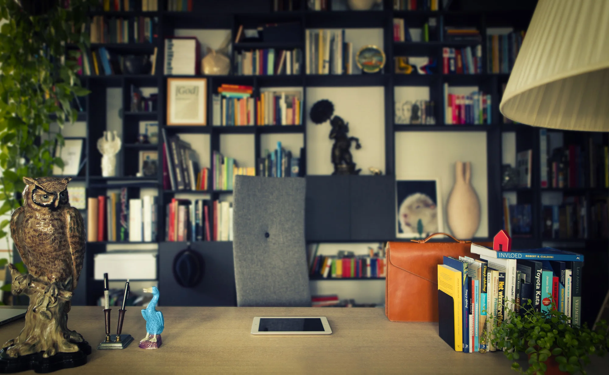 JB-Beeld-web-home-v1.jpg