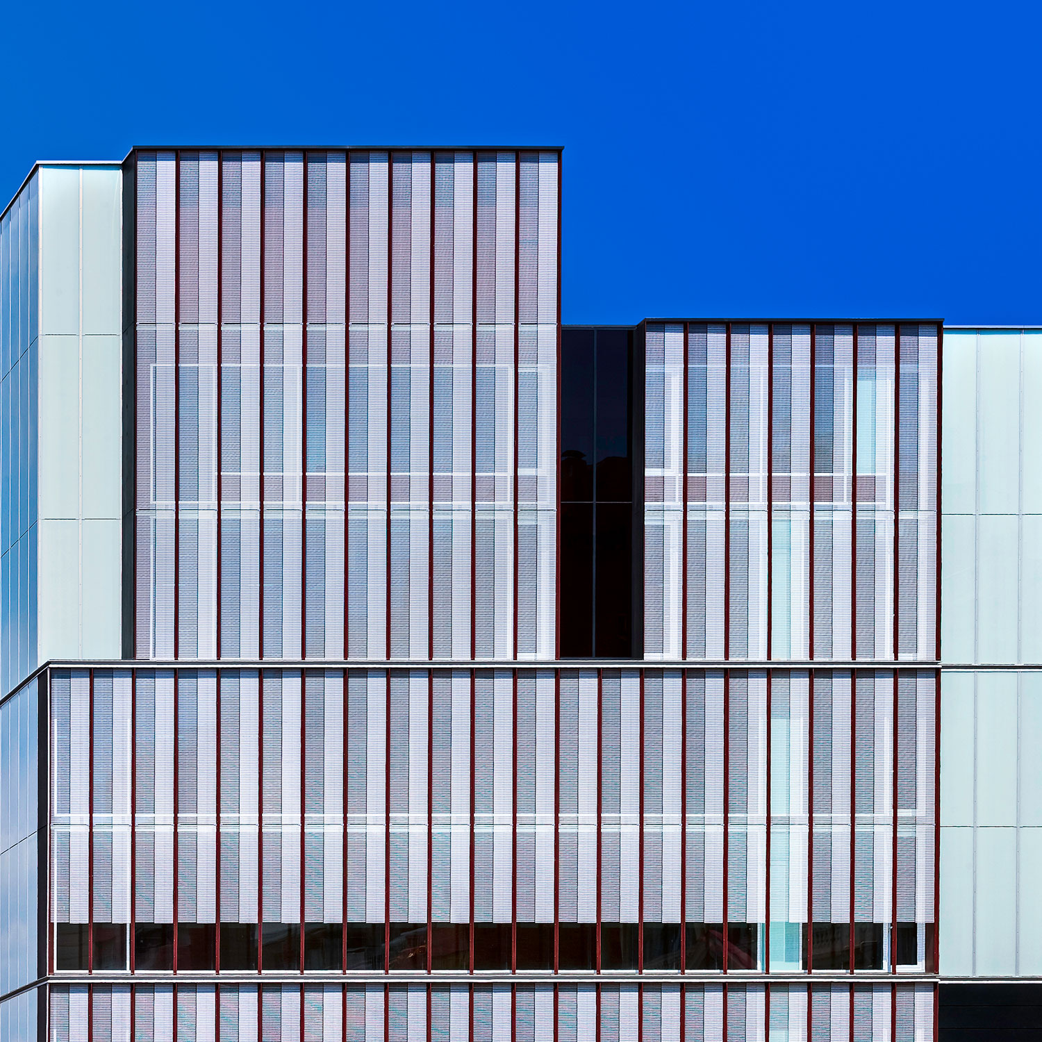 Col·legi d'Economistes de Catalunya | Roldan & Berengué | Barcelona