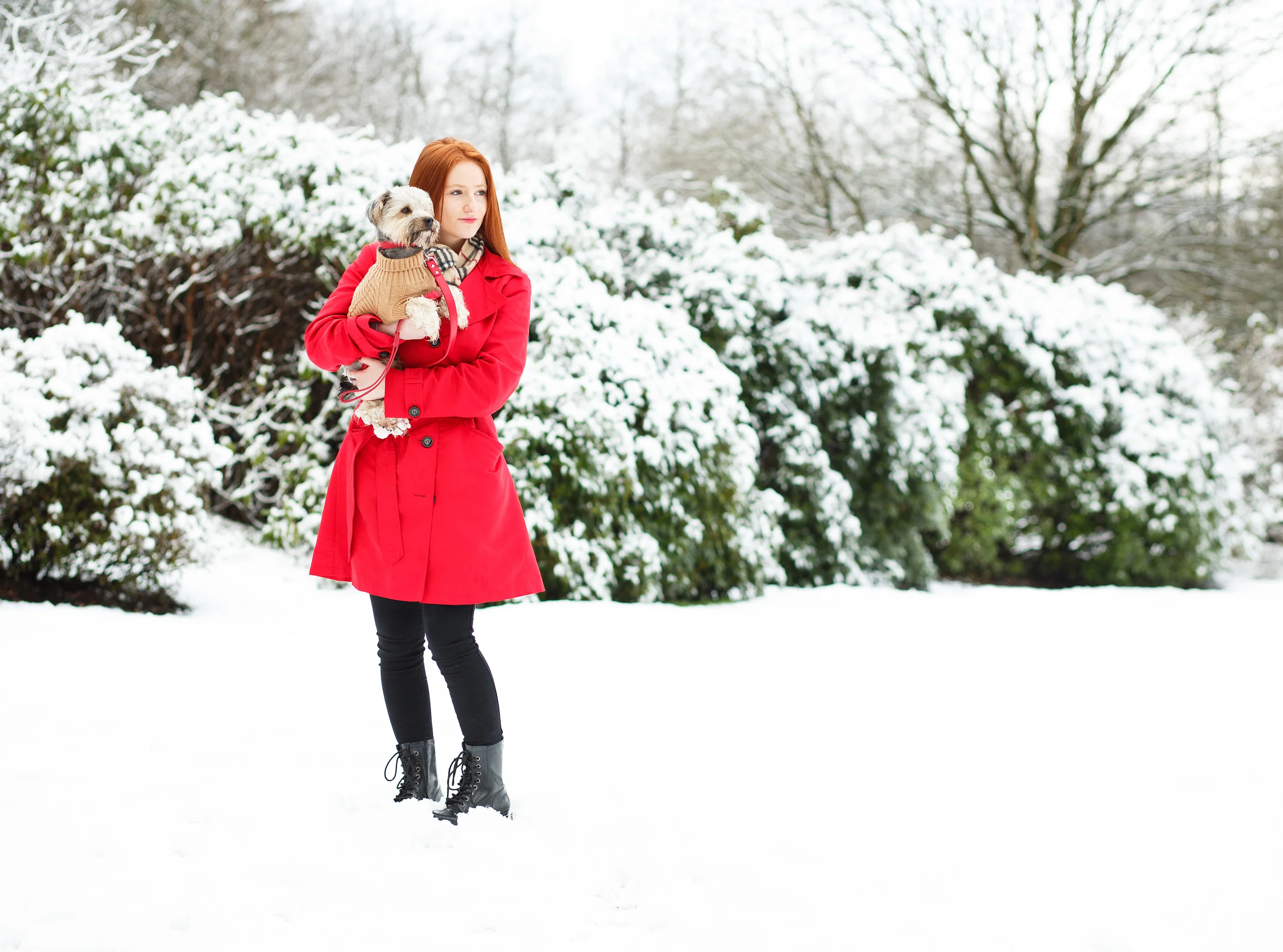 150129_053.jpg