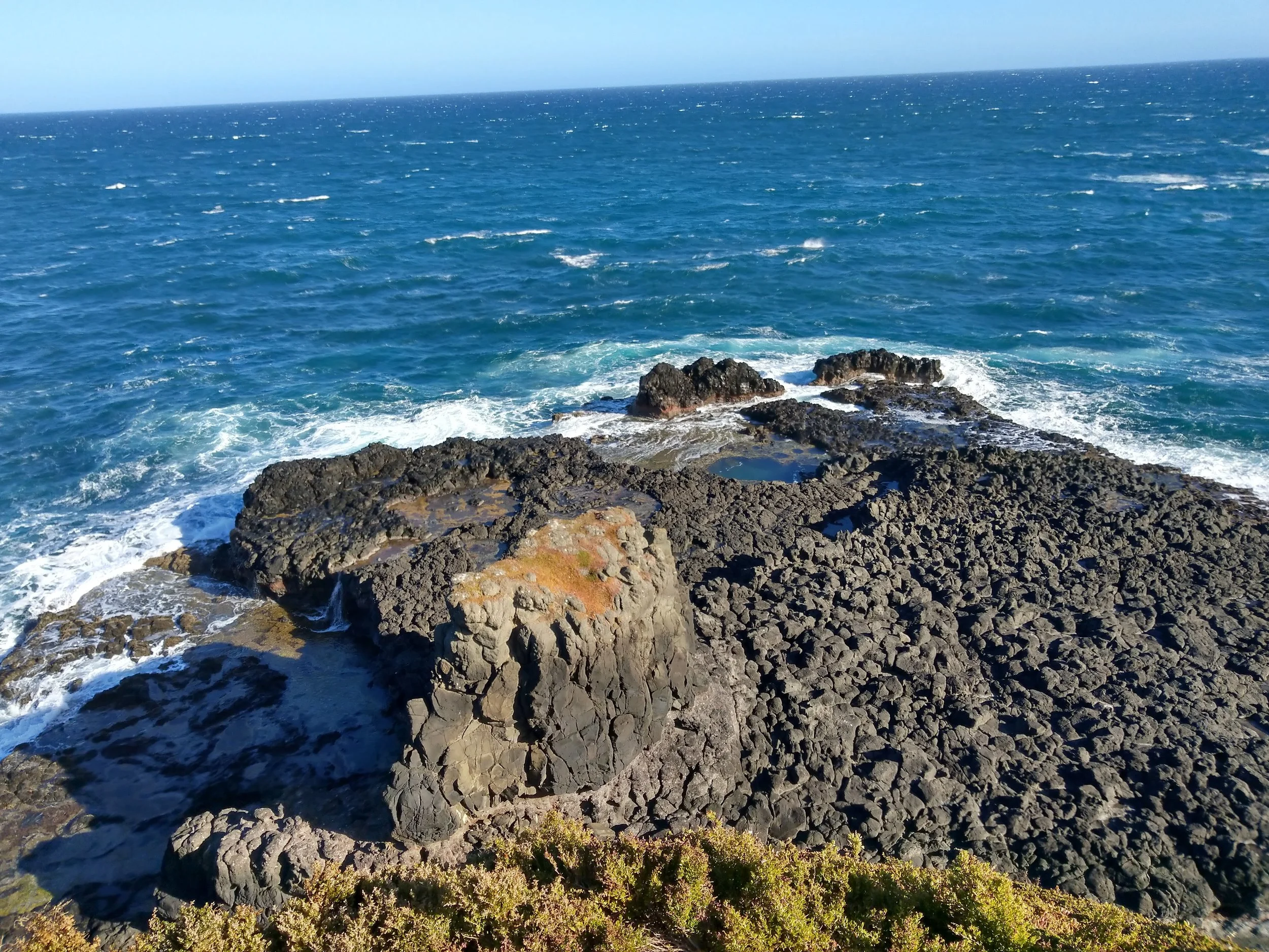 IMAG0155.jpg