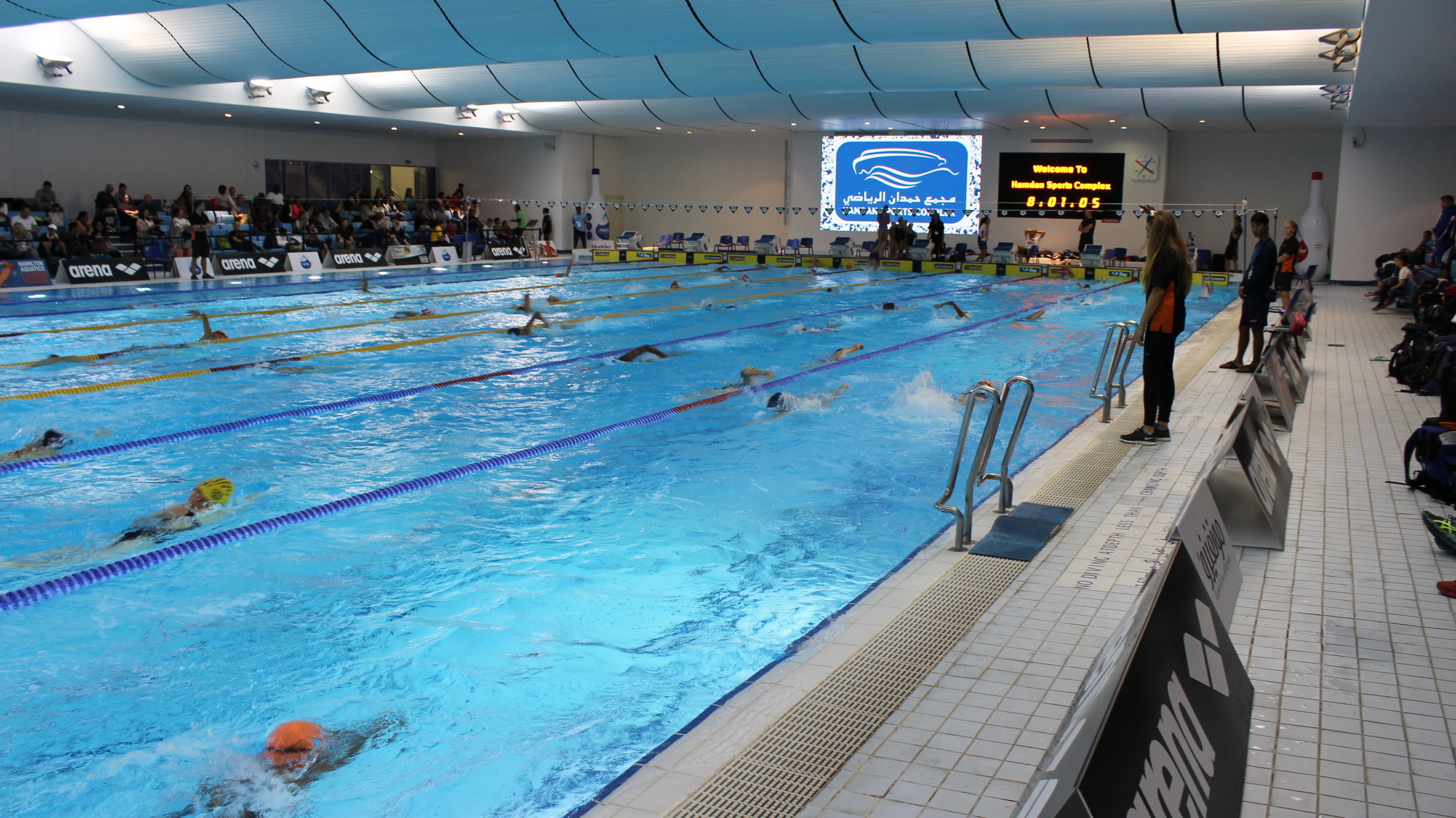 Featured image of post Hamilton Swimming Pool : Hamilton aquatics focuses on improving swimming performance and water safety.