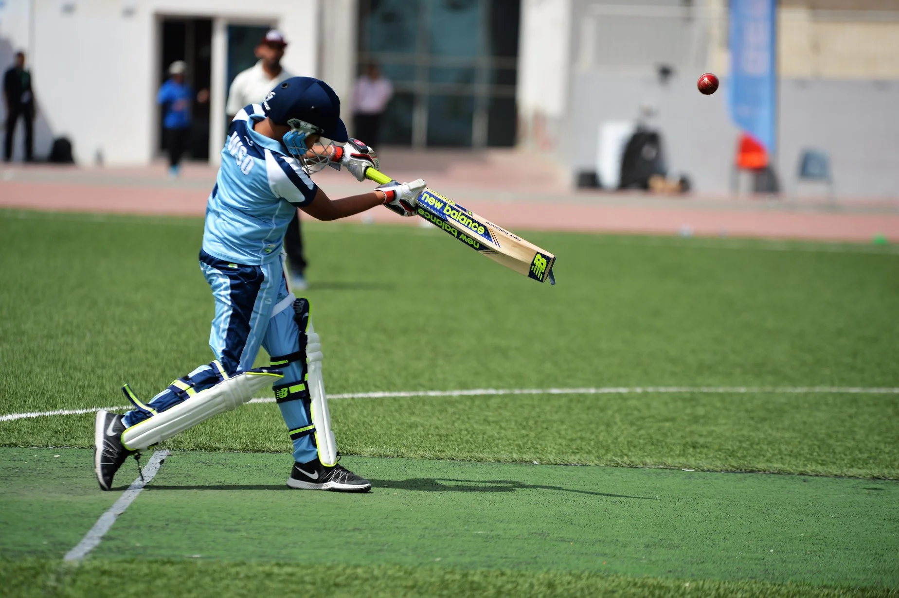 cricket2.jpg
