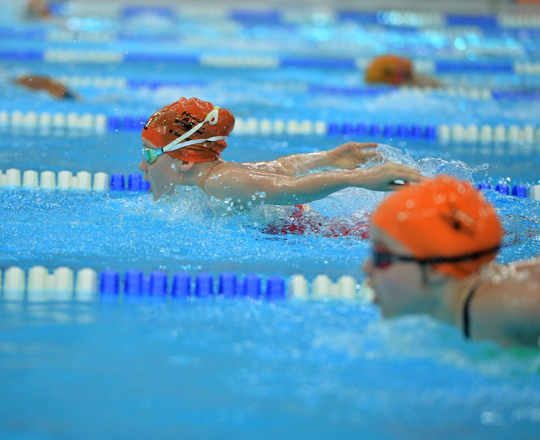 Hamilton Aquatics Development Series.jpg