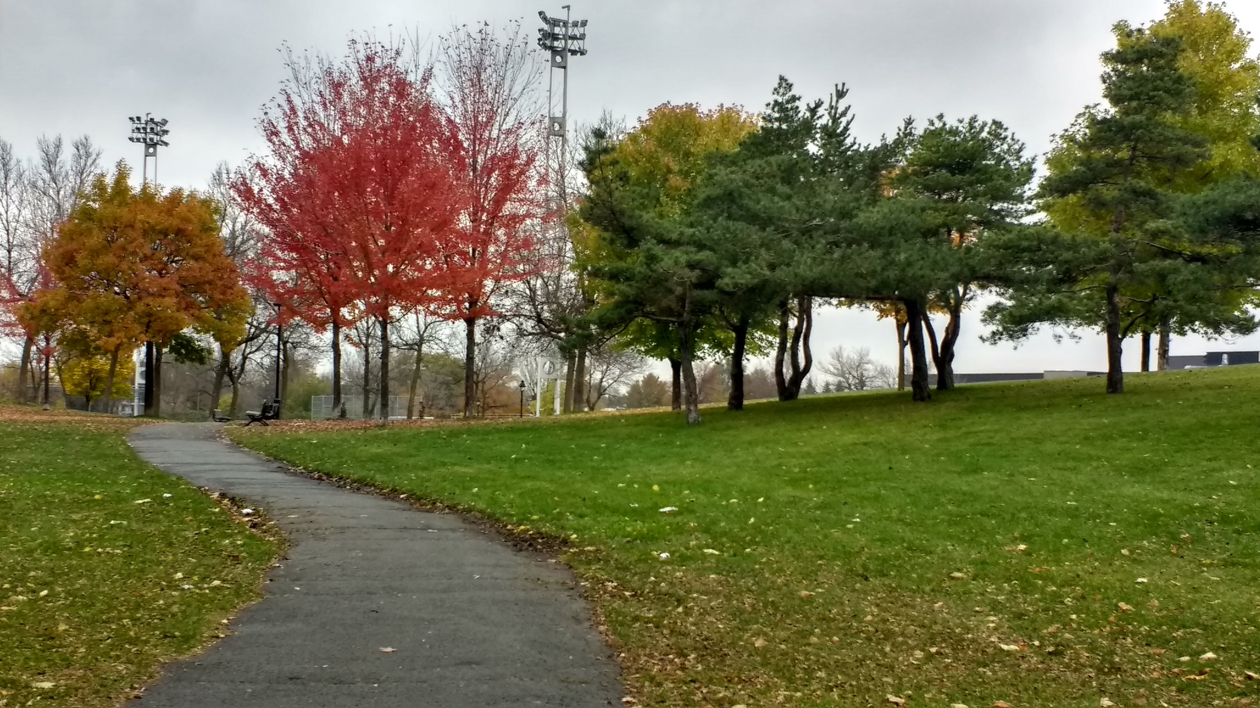 Local park still has the Autumn colours