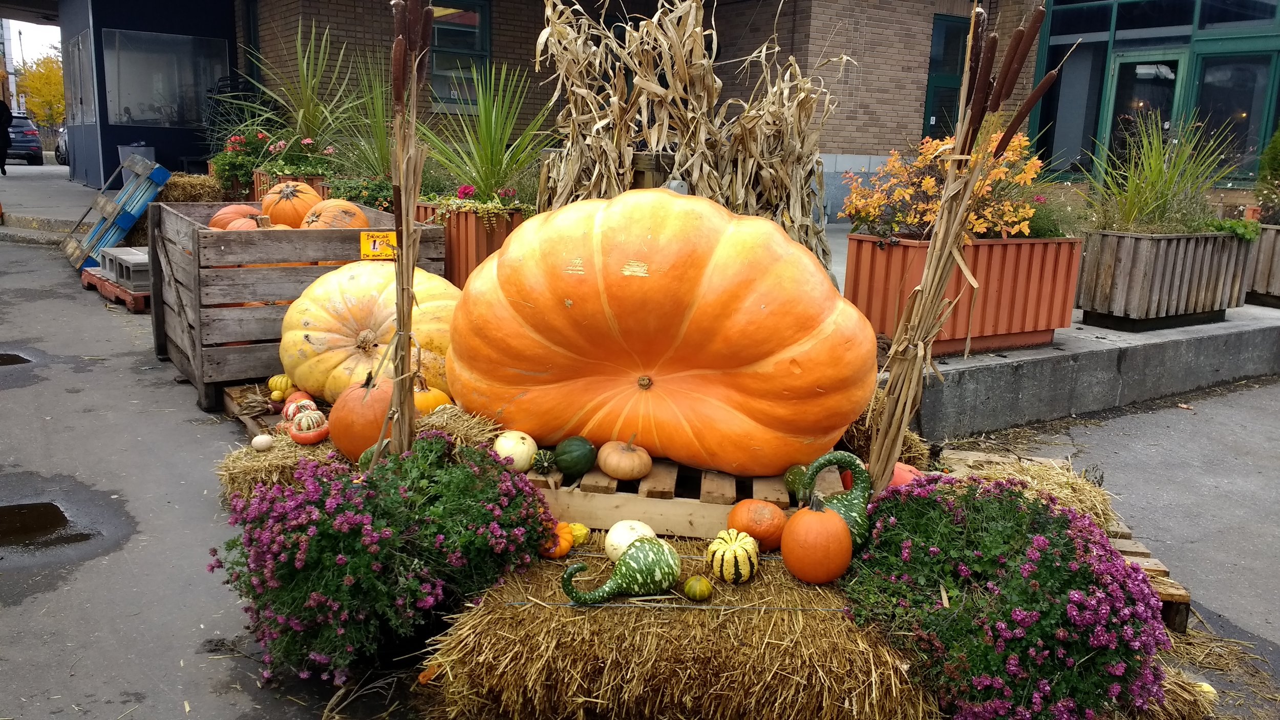 Jean Talon Market