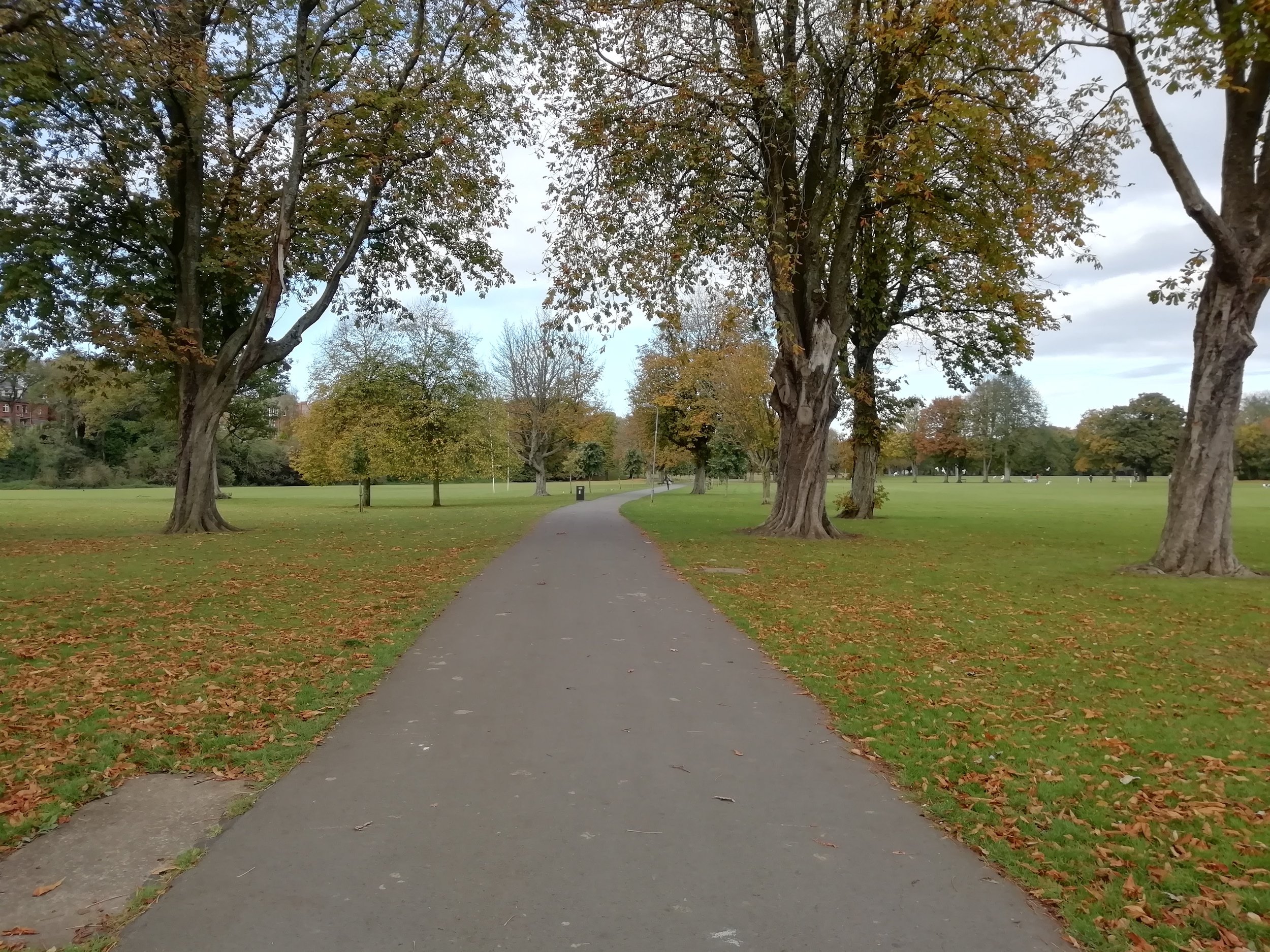 Bute Park