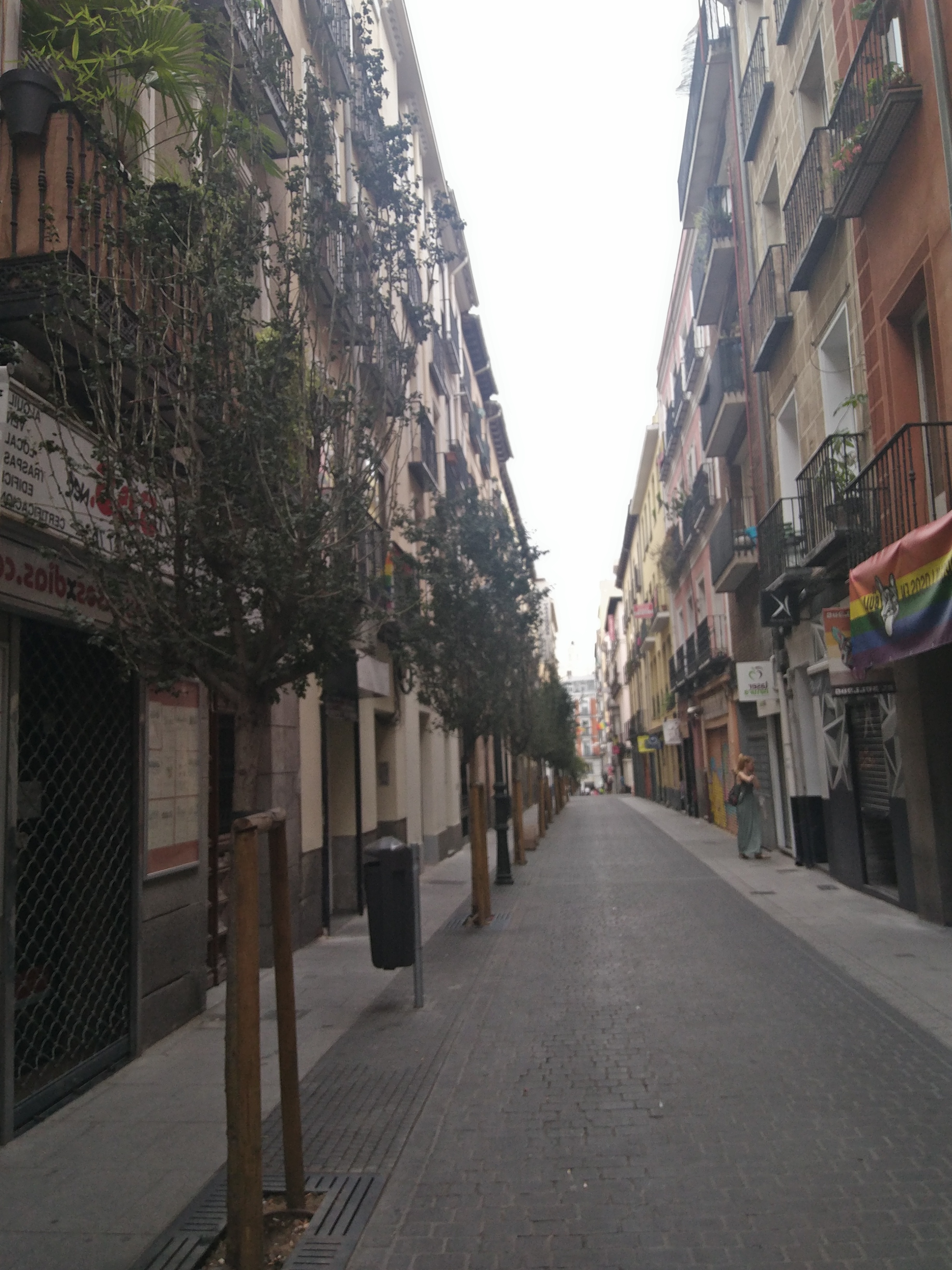IMG_20190807_084541.jpg