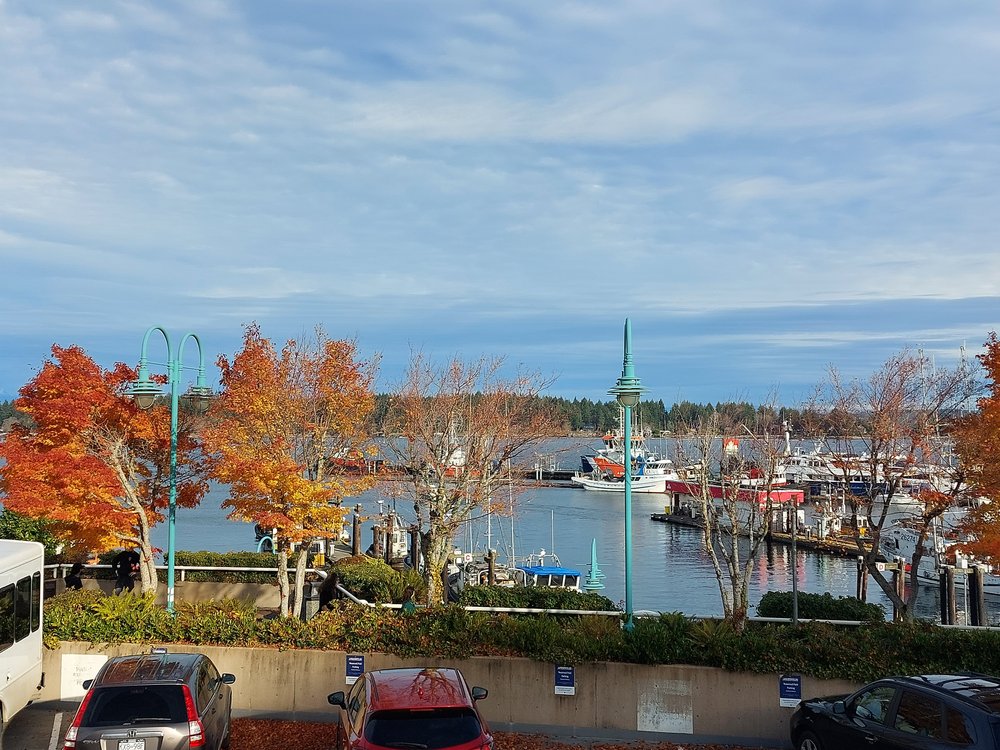 Nanaimo