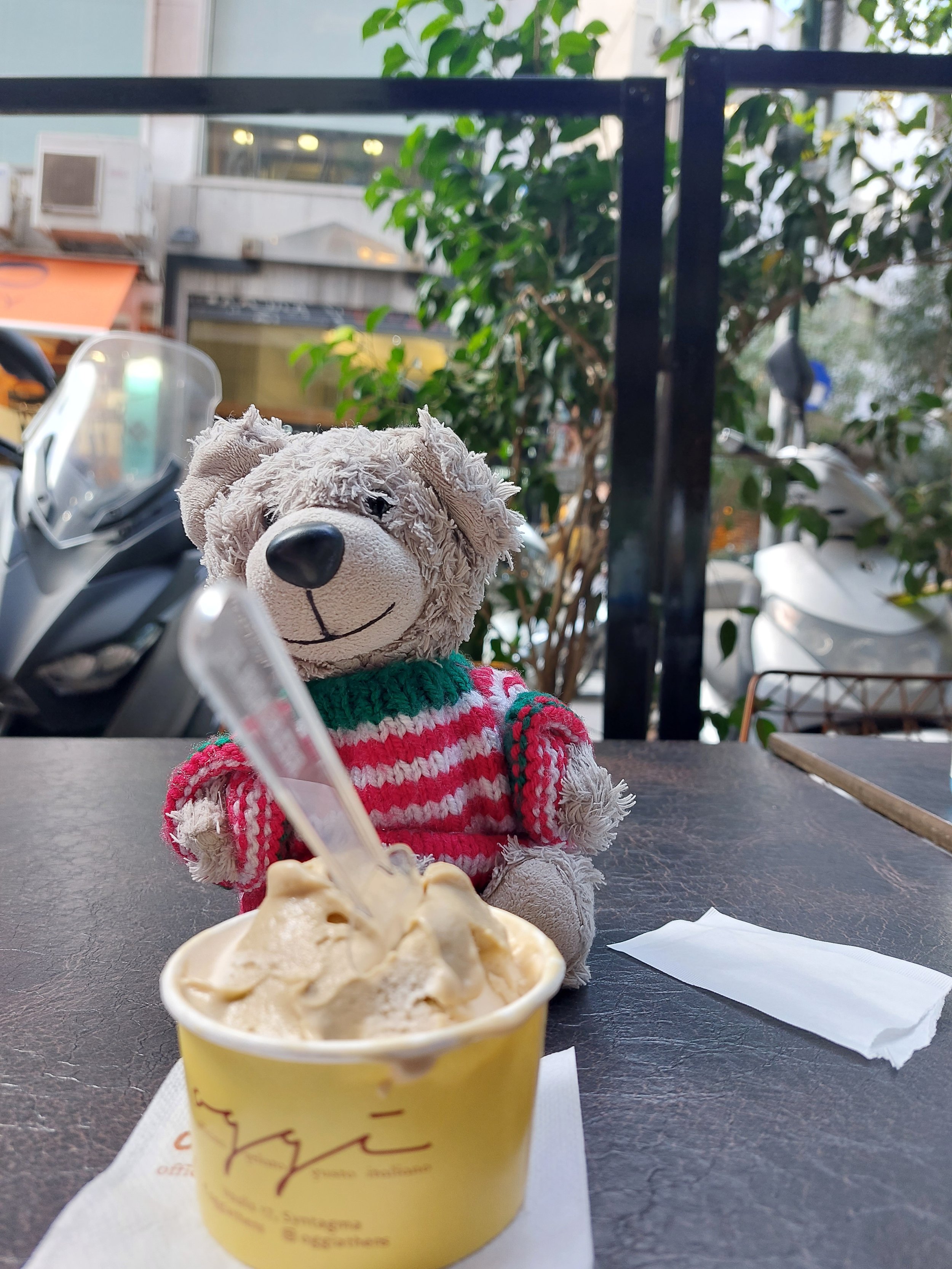 Banner Bear with Oggi ice cream
