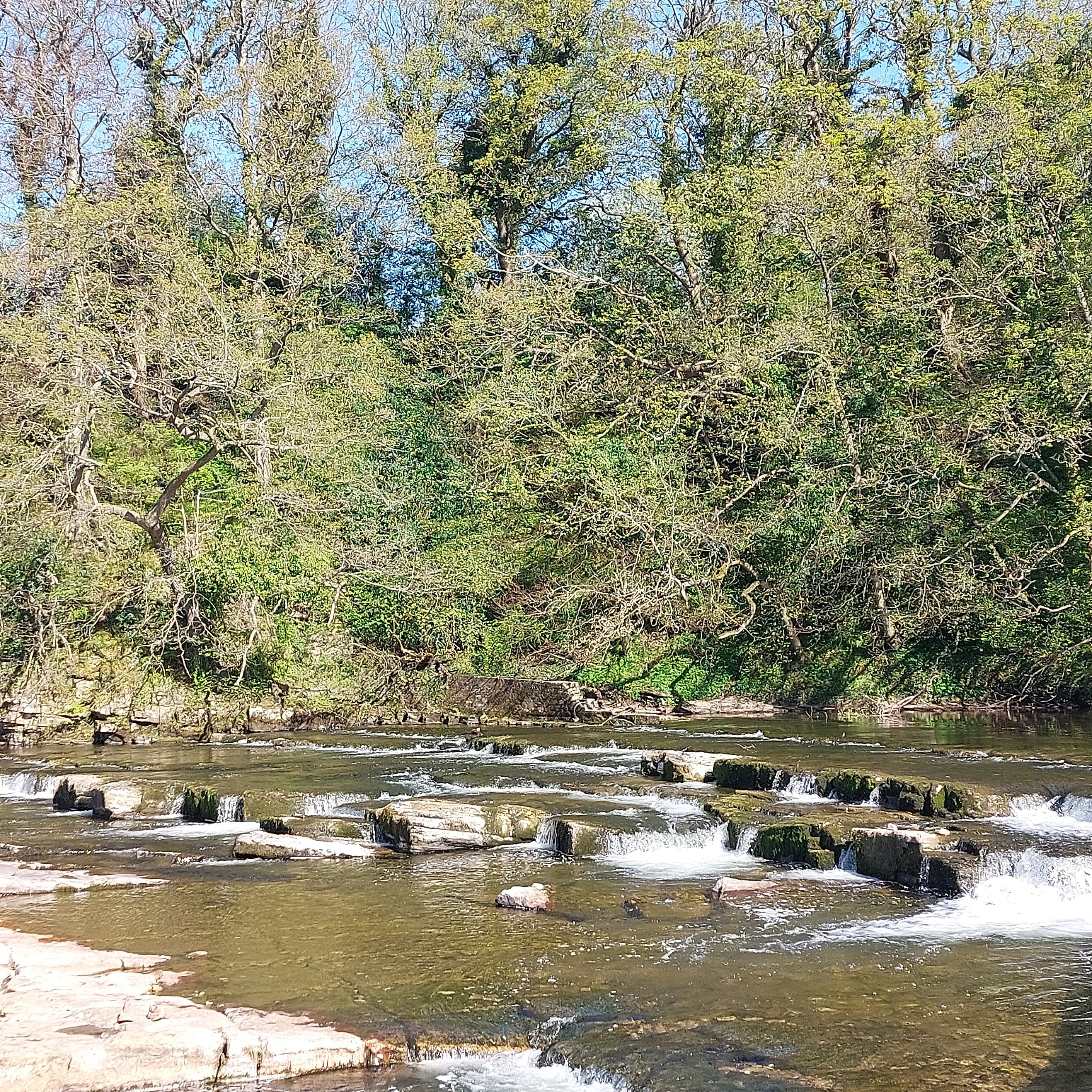 Richmond Falls