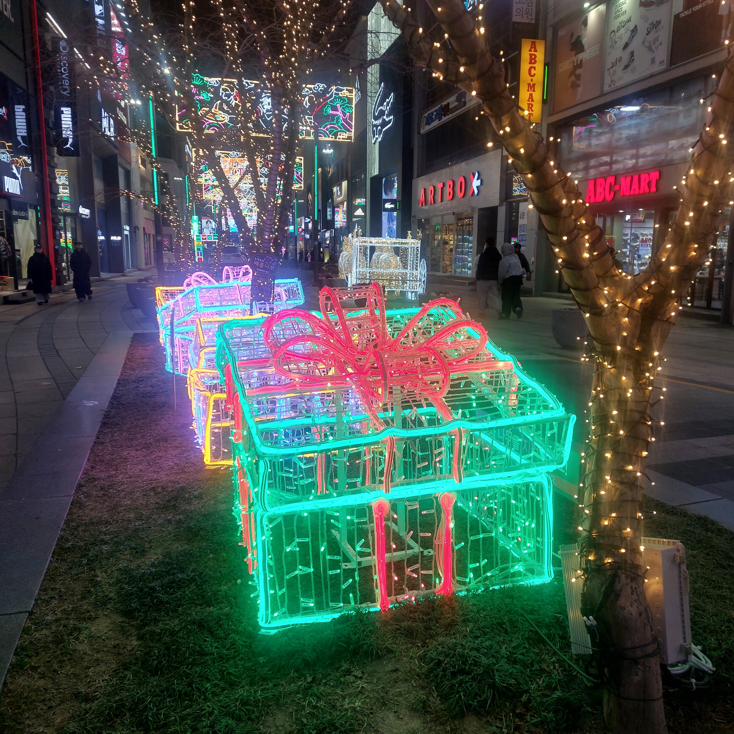20260129_212052.jpg