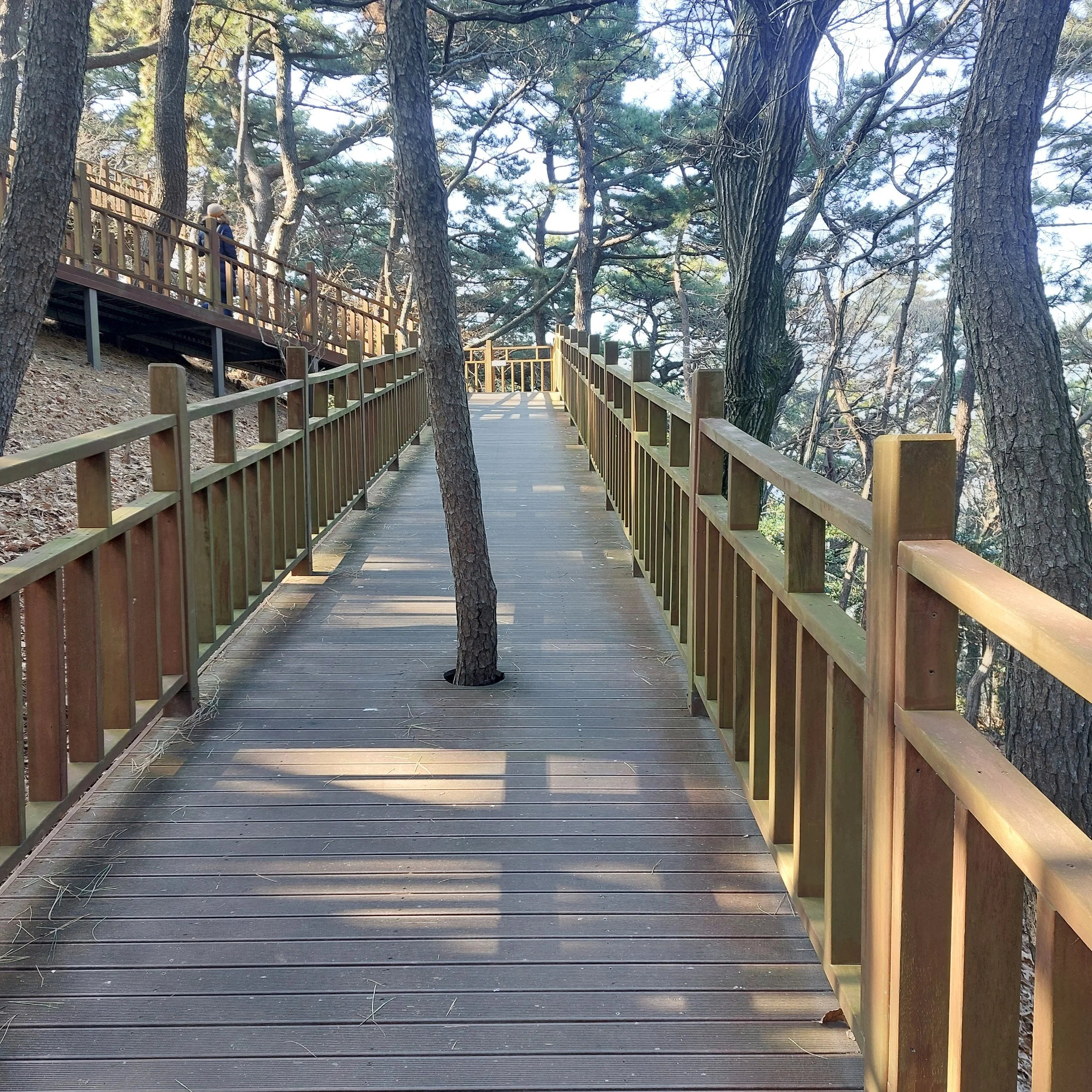 Amnan Park