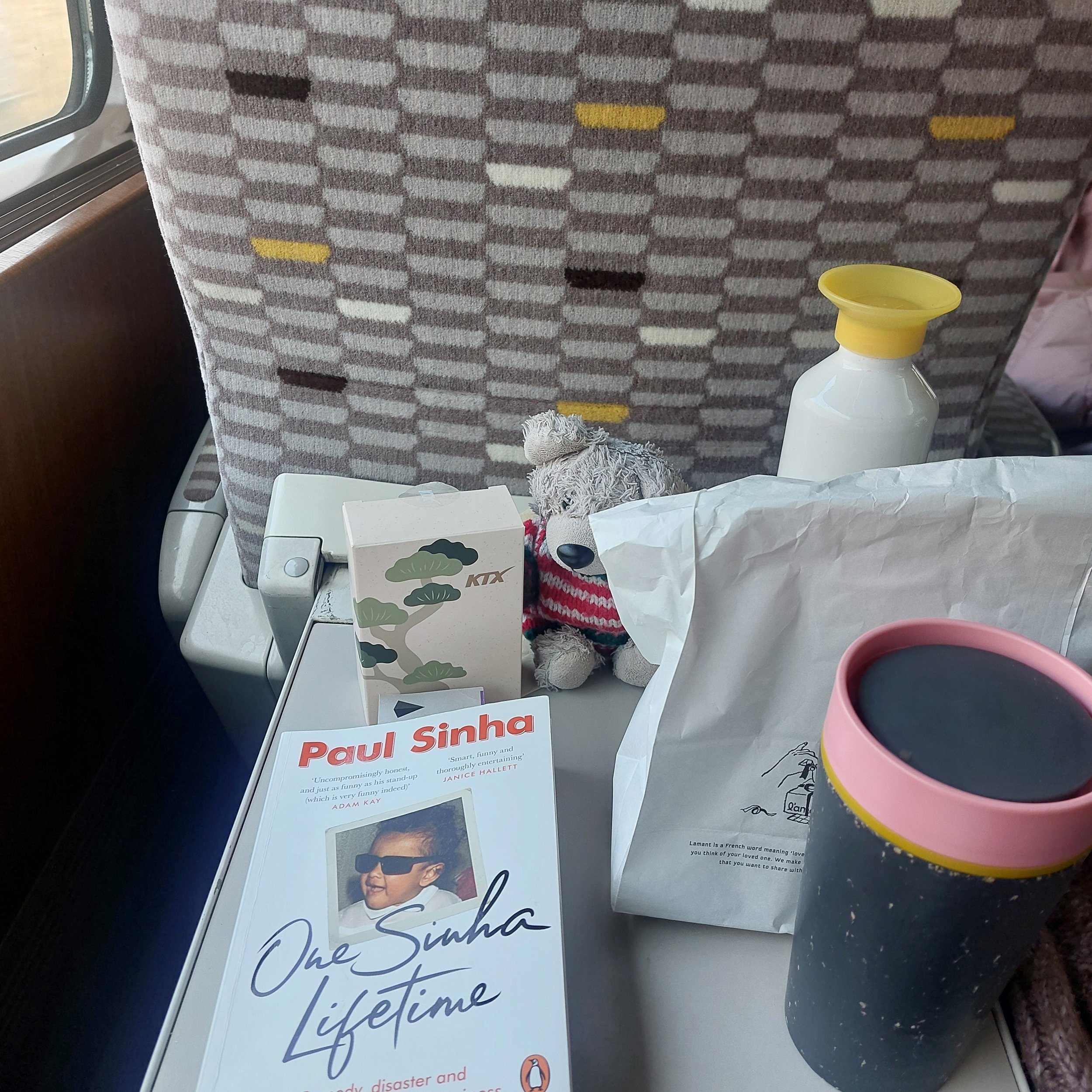 Train back to Seoul