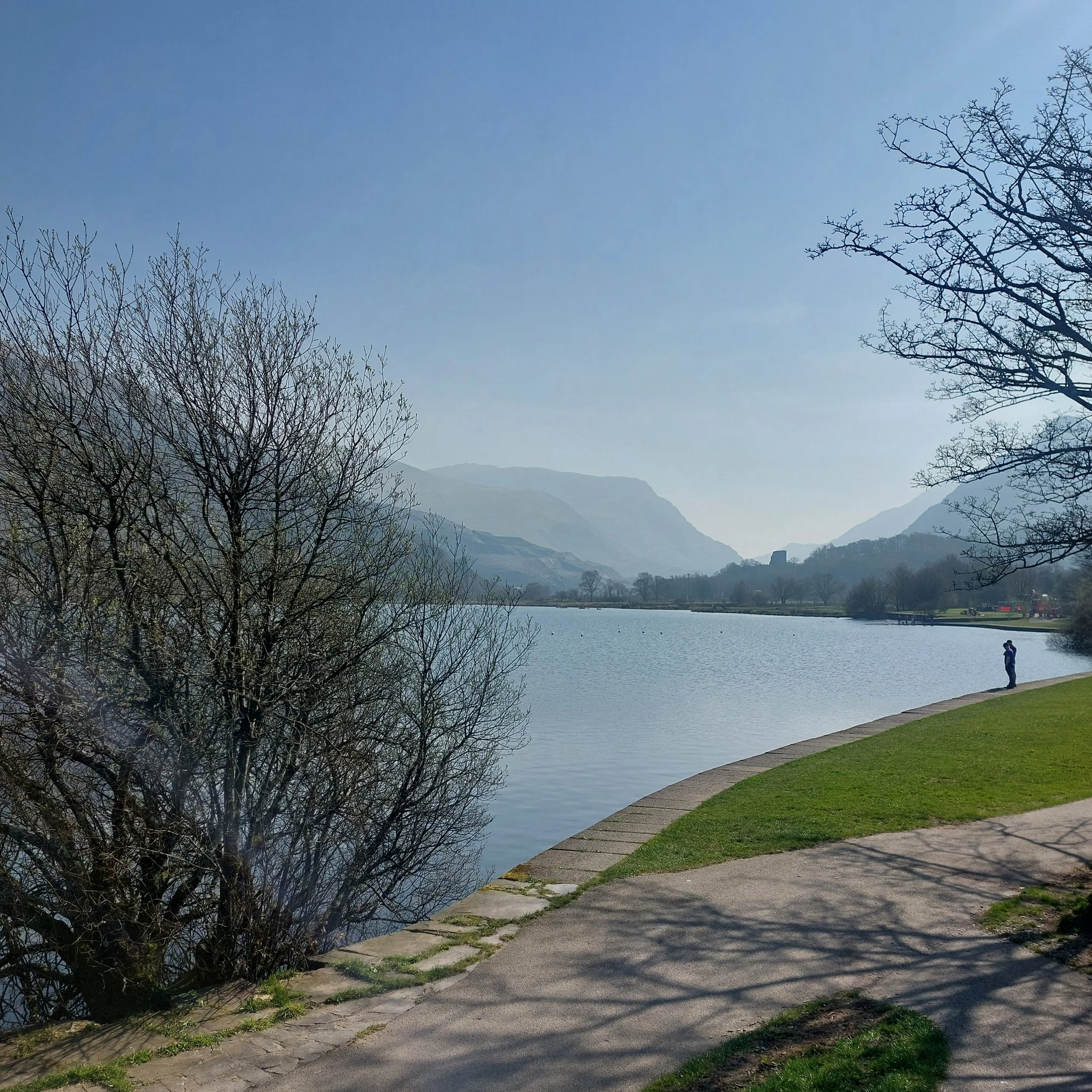 20260321_110631.jpg