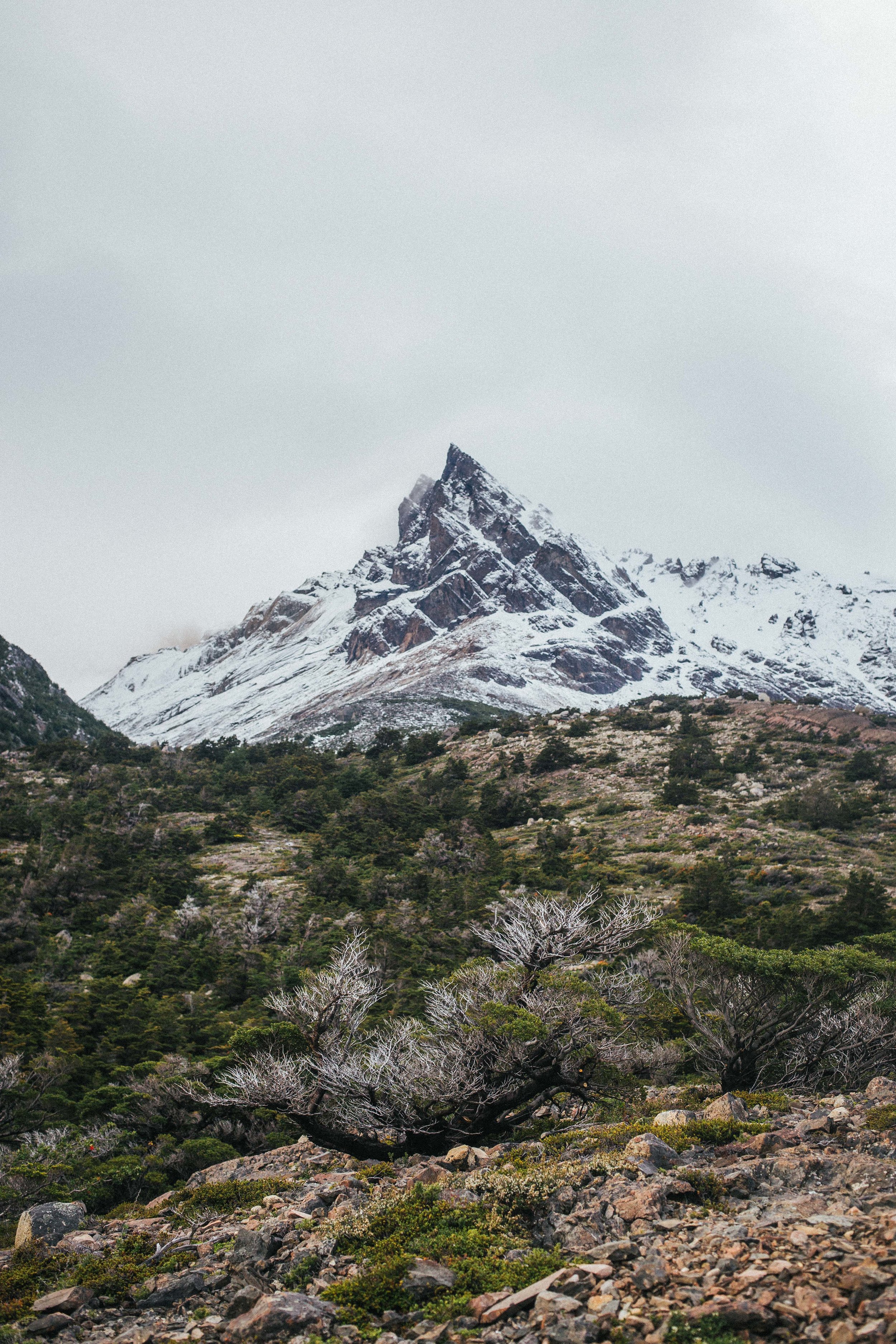  Torres Del Paine | Patagonia 