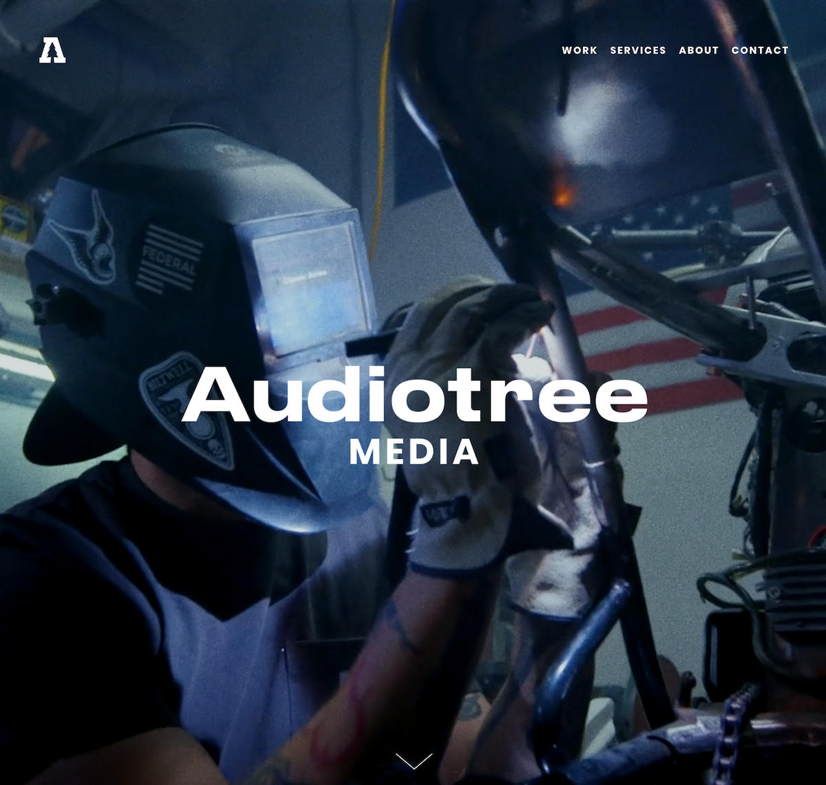   audiotree.media  