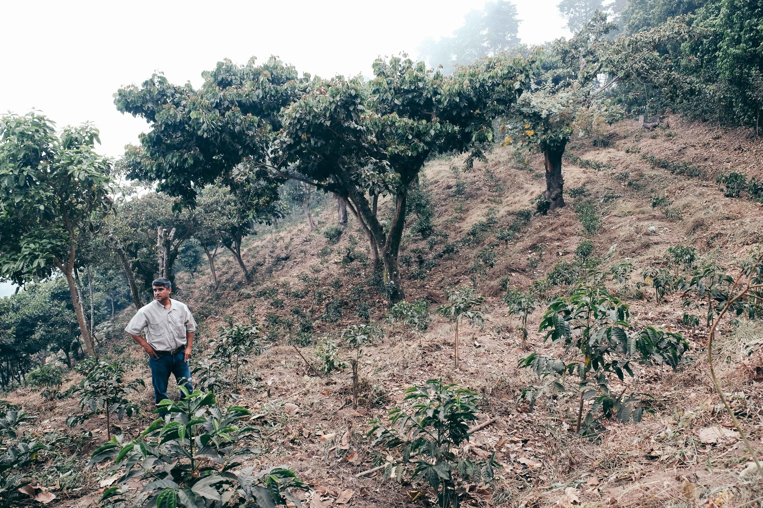 Federico Pacas giving us a tour of some of the renovation done at Finca San Jose after taking over the farm.
