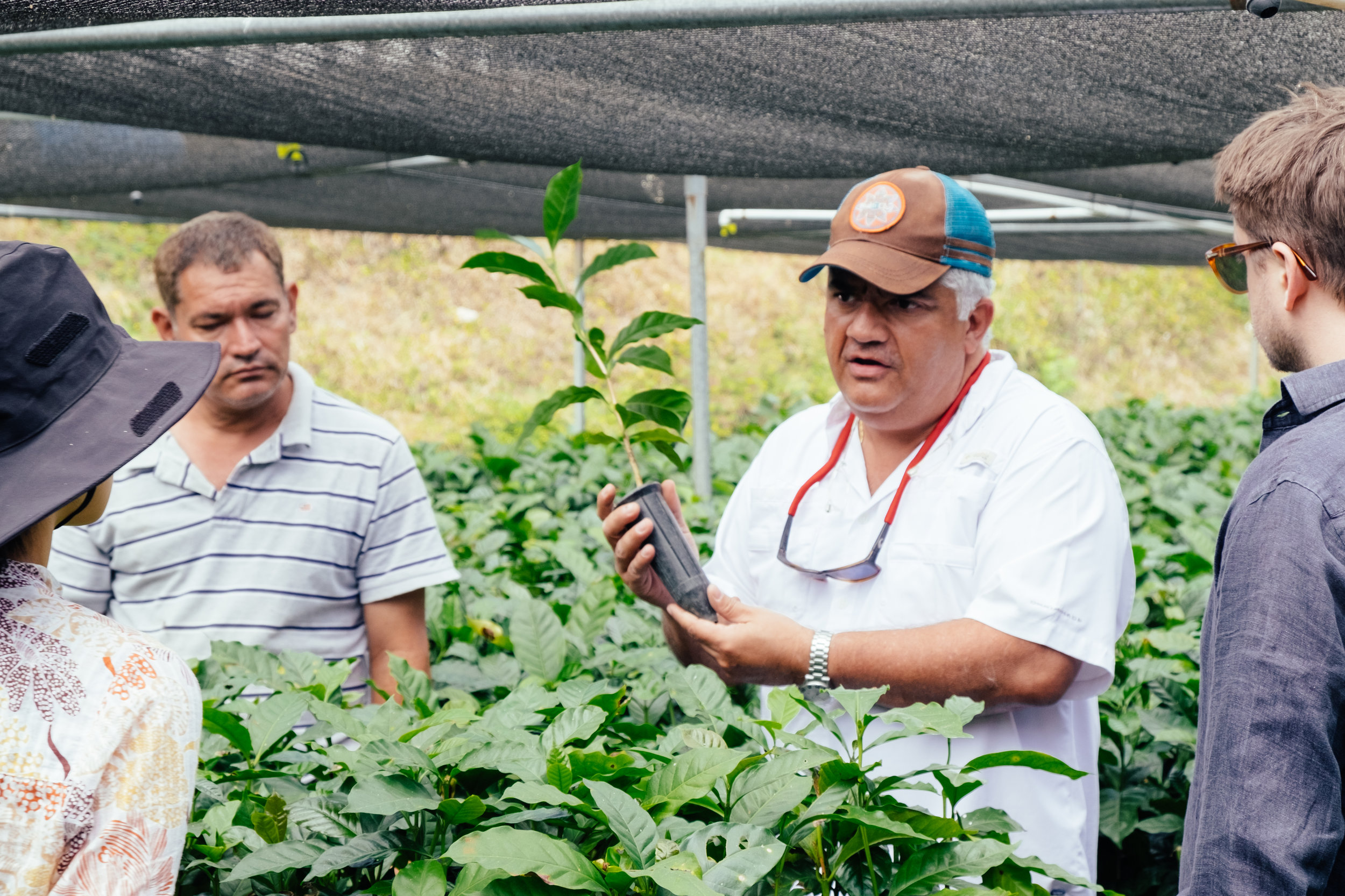 Gilberto showing his technique of growing seedlings in Los Pirineos.