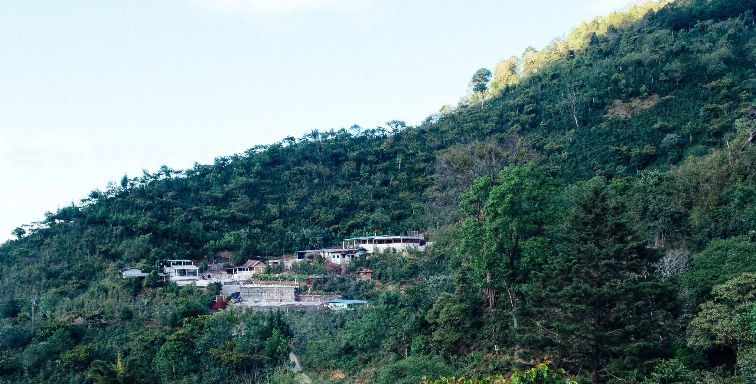 View of Finca Vista Hermosa
