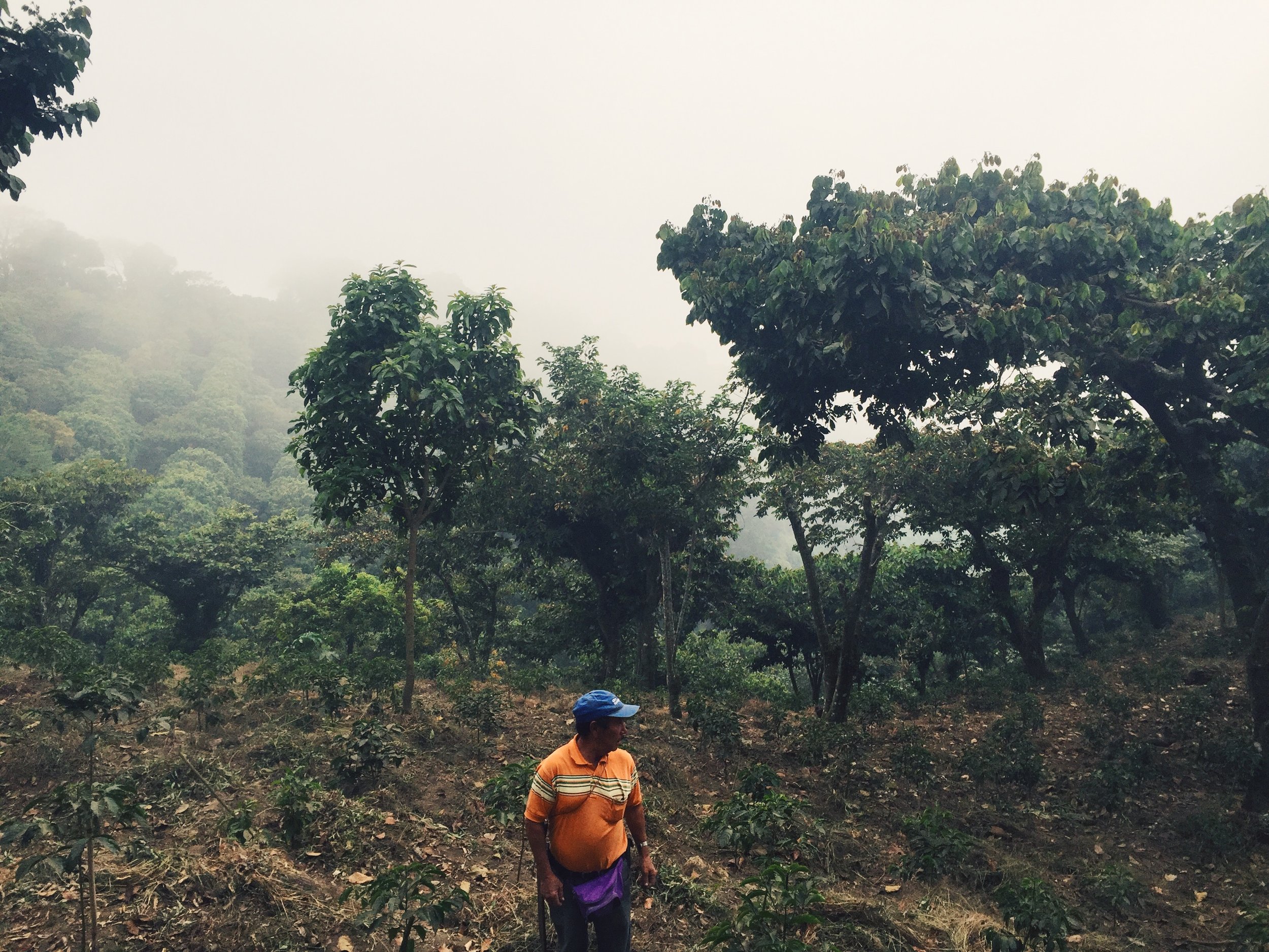 Processed with VSCO with c2 preset