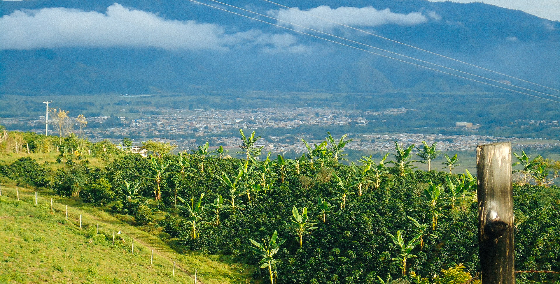 The farm overlooking the town of Pitalito.