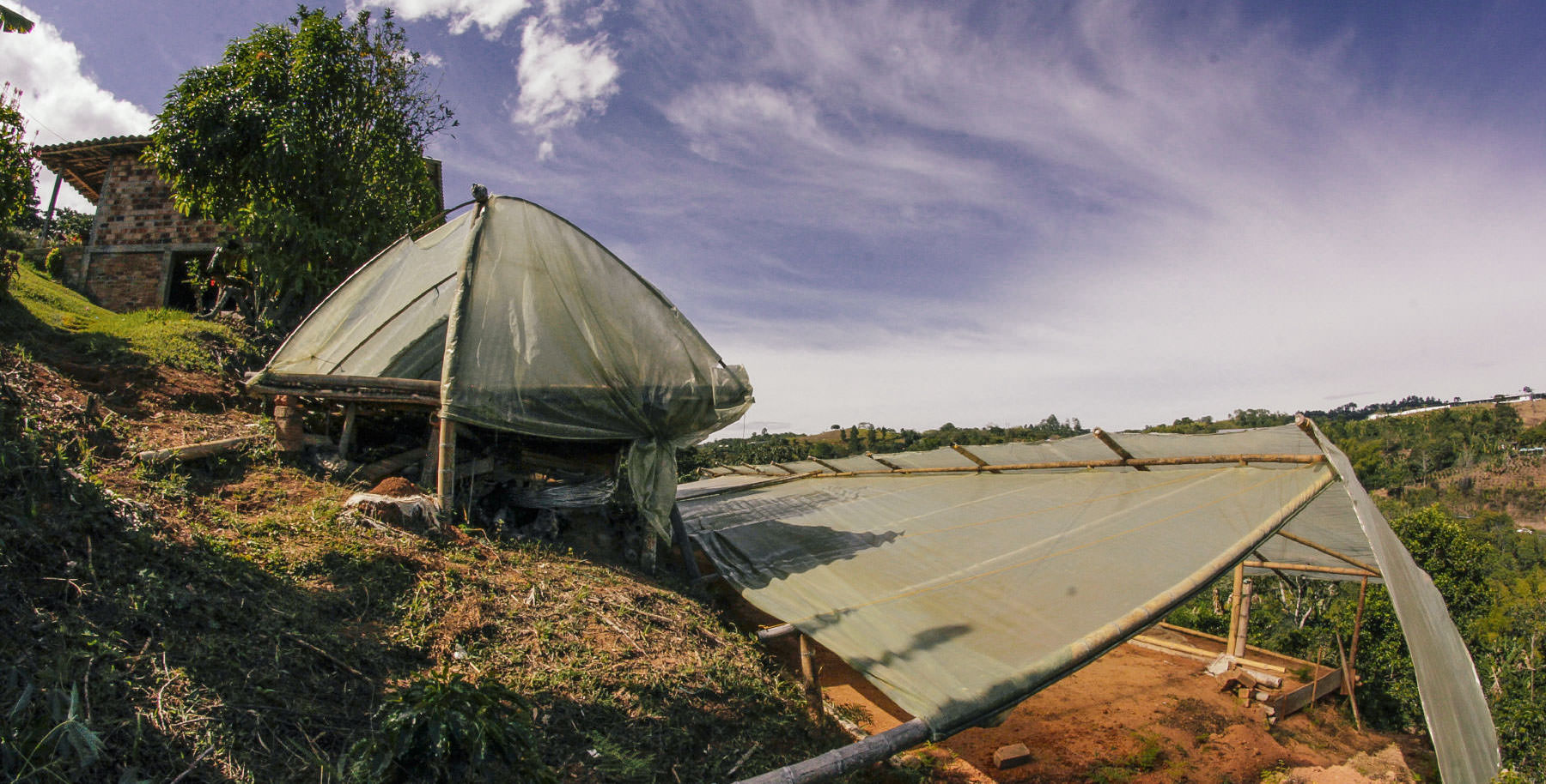 Typical parabolic dryers found in Colombia, also used in El Naranjal