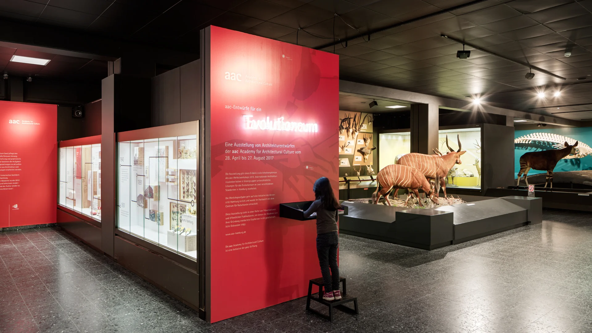Explainable Amran designs exhibition at the Zoological Museum in Hamburg