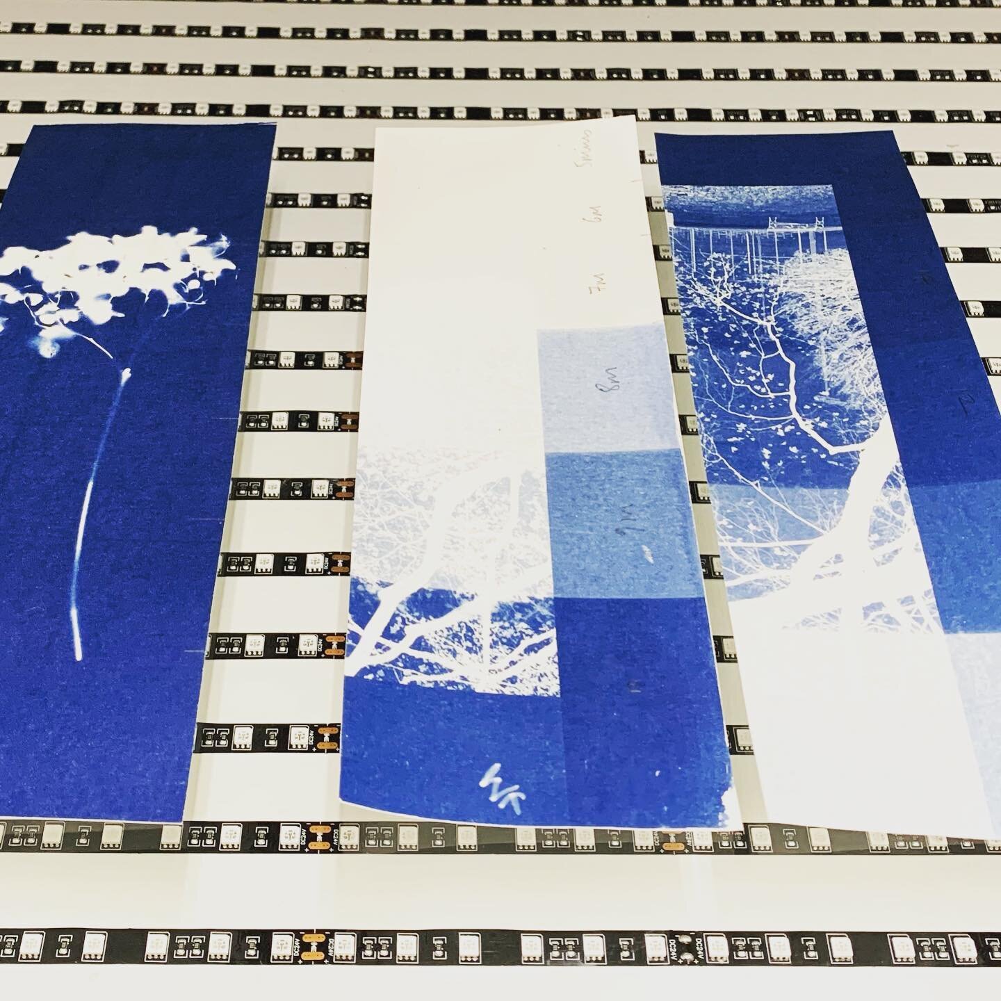 ***CYANOTYPE DAY WORKSHOP***
Our next workshop is on Saturday 9 July - 10am-4pm with the brilliant @hahahelen 
In our #westcroydon 
Only a couple of spaces left&hellip;. 
Book though the online shop👇 

#cyanotypeprint #cyanotype #printmaking #blue #