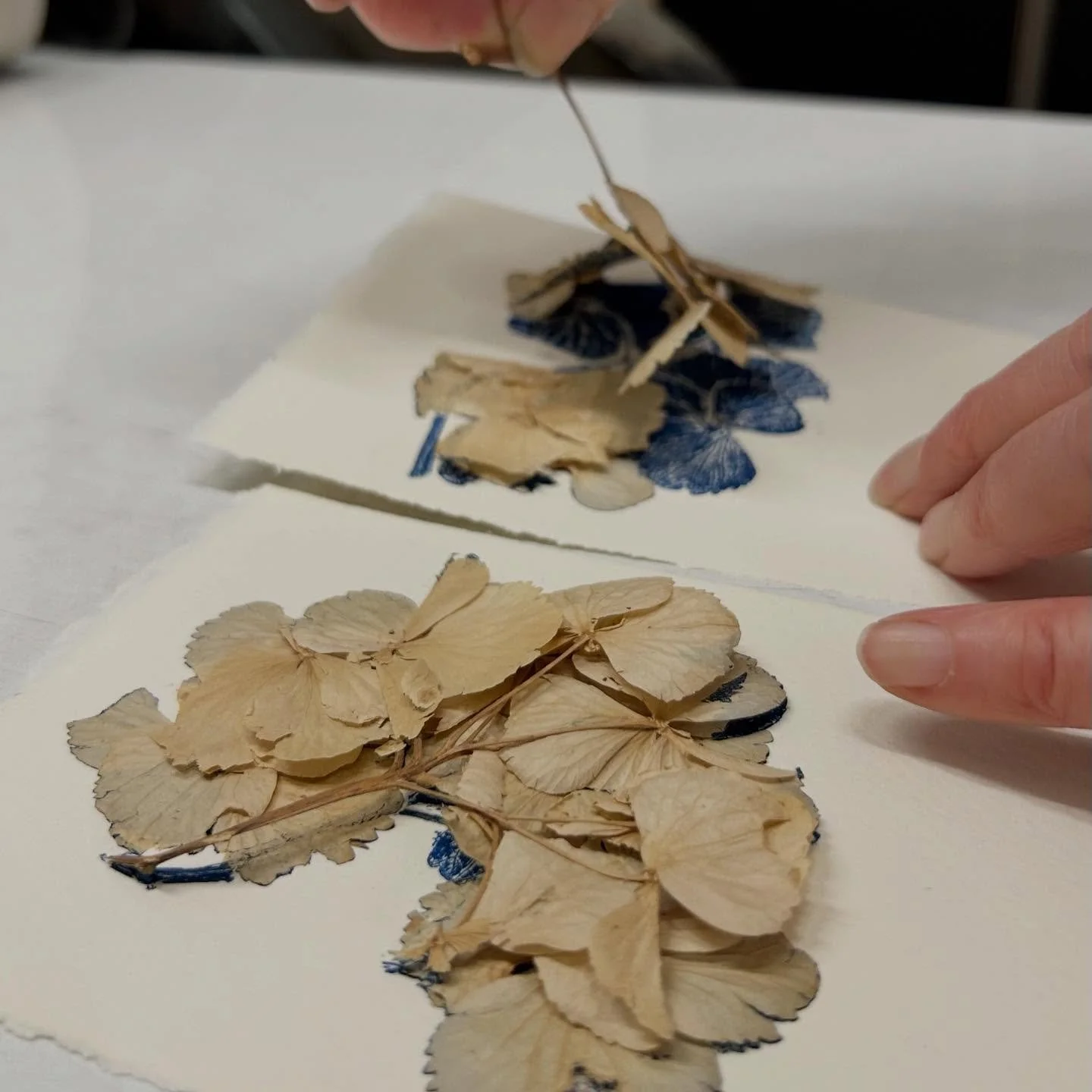 A morning session mono printing with some gorgeous results&hellip;. 

Check out our workshops for some inspiration in the year to come :)