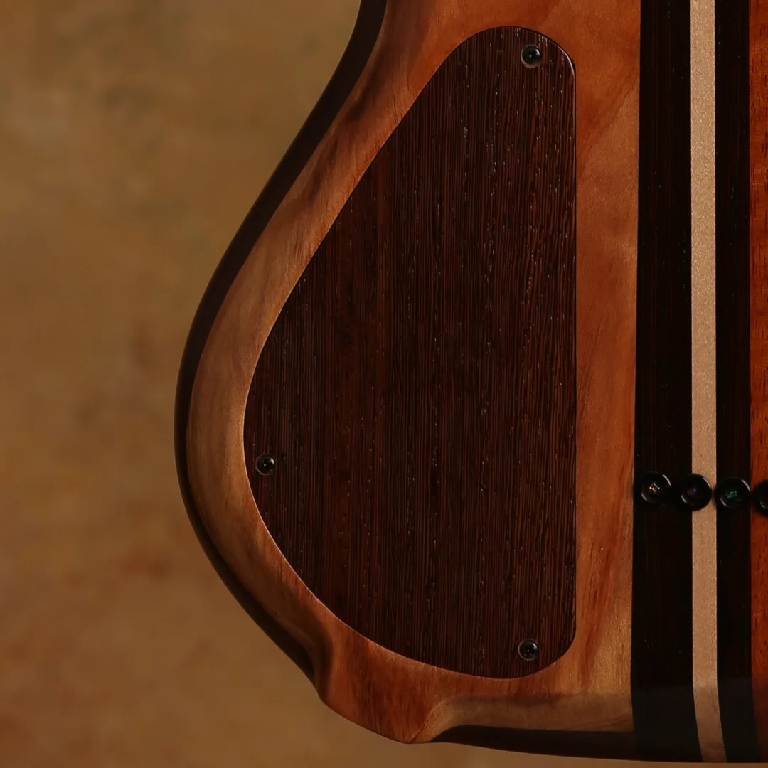 Back-detail2.jpg
