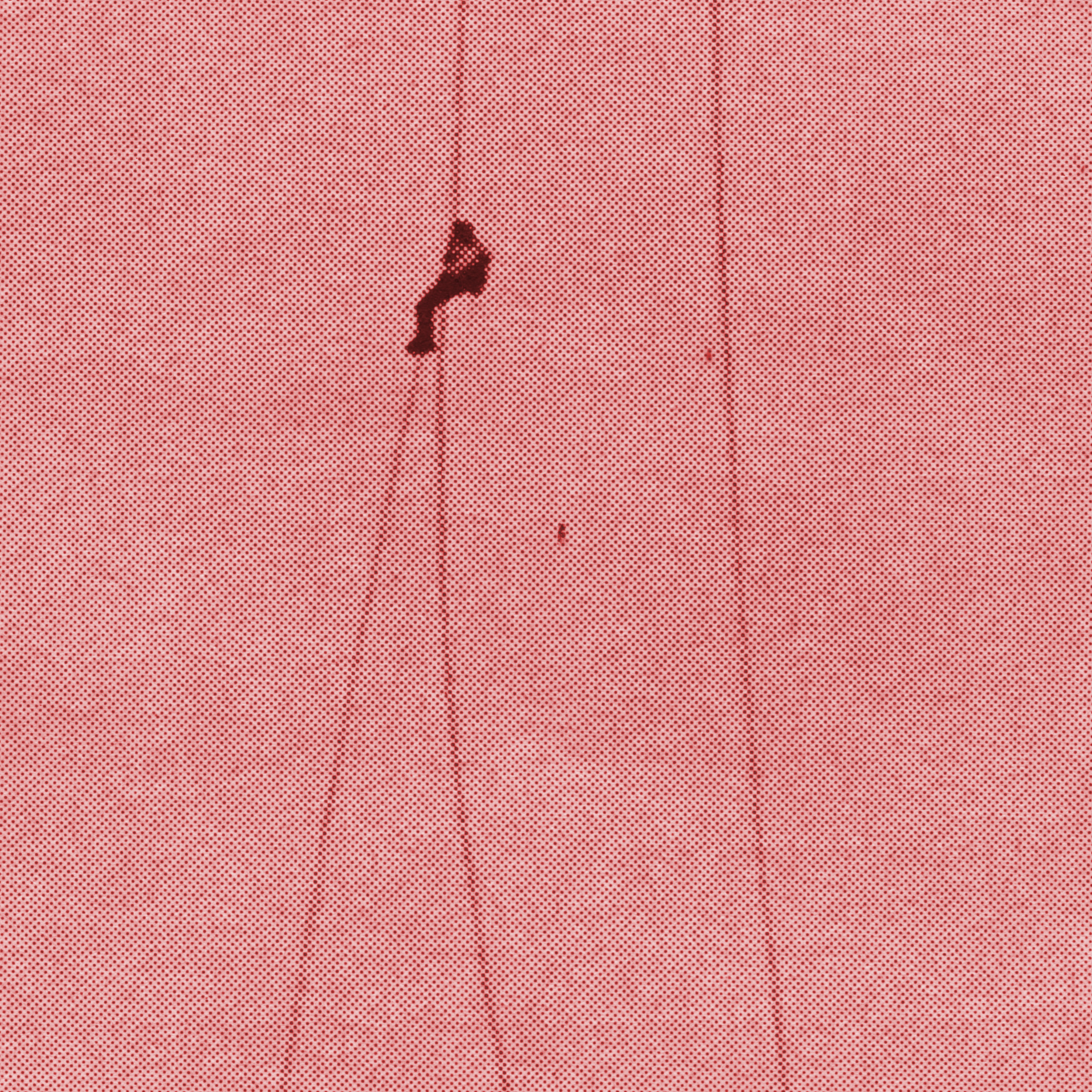 trapeze1.jpg