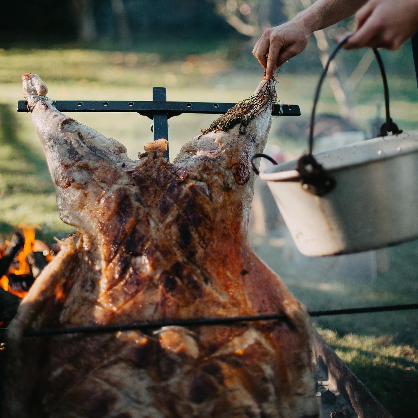 Roasting whole on the asado cross is a traditional Argentinian way of preparing a feast. 6+ hours of coal shuffling, attention and love for this local lamb, basted with a secret recipe brine. Food and theatre. 
📸 @hollysmithphoto