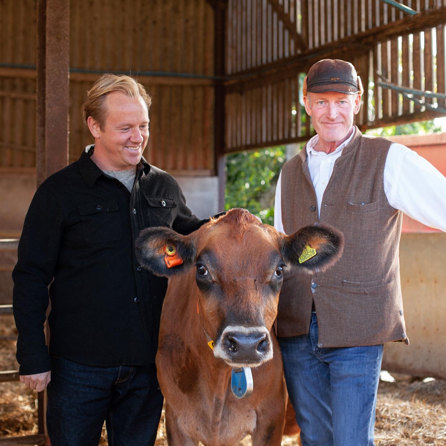 Yesterday I met David Leng and India from @blancpignondairyfarm . They produce an ever growing range of dairy products as well as pure Jersey cow meat. Usually the Jersey beef sold over here is an Angus cross, so I can&rsquo;t wait to taste their pur