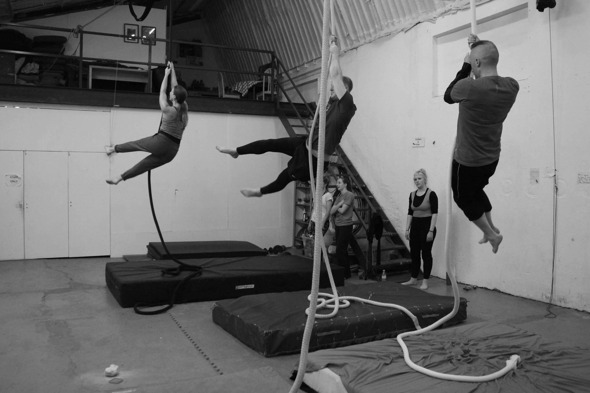 Rope beats! Saturday morning A erial R ope at Dublin Circus Project