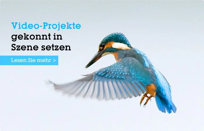 video getty images design art direction barroni