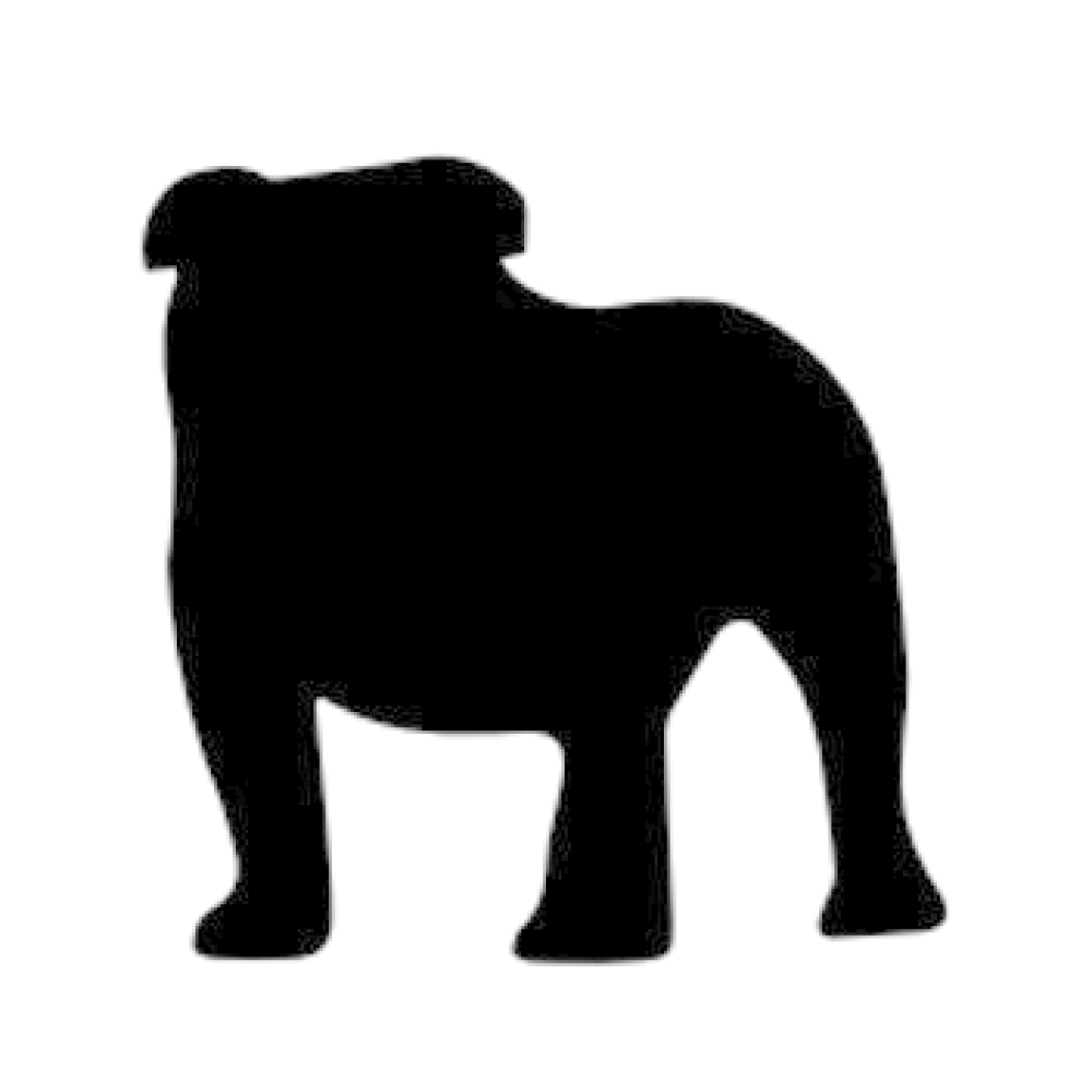  Bulldog Innovation Group