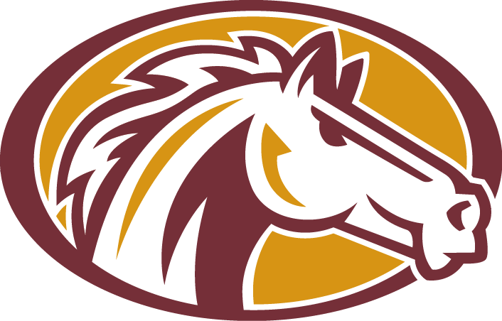 Bronco White Facebook Logo.jpg