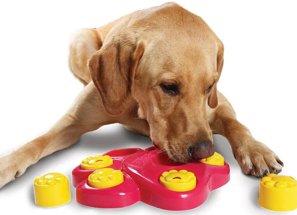 dog toys.jpg