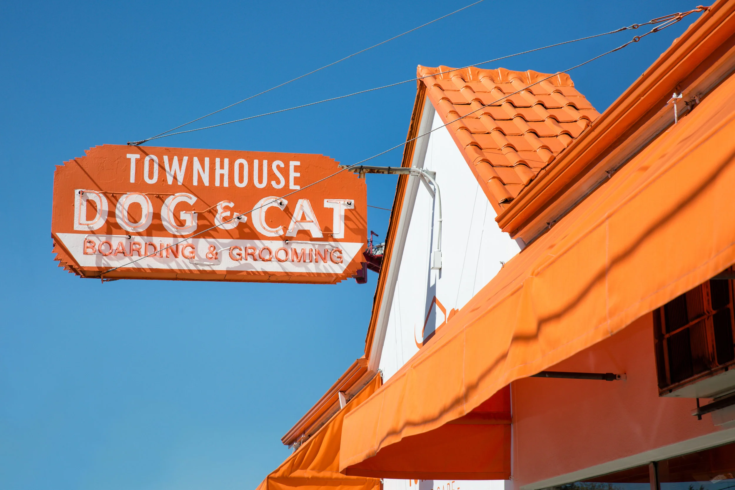 DOG BOARDING — Townhouse Pet Care Portland, OR